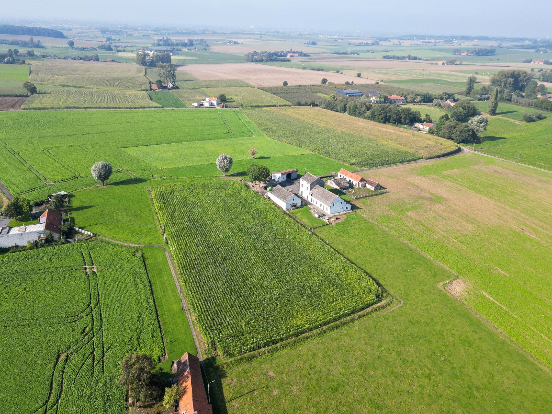 UNIEKE LANDEIGENDOM OP 2,1 HA foto 2