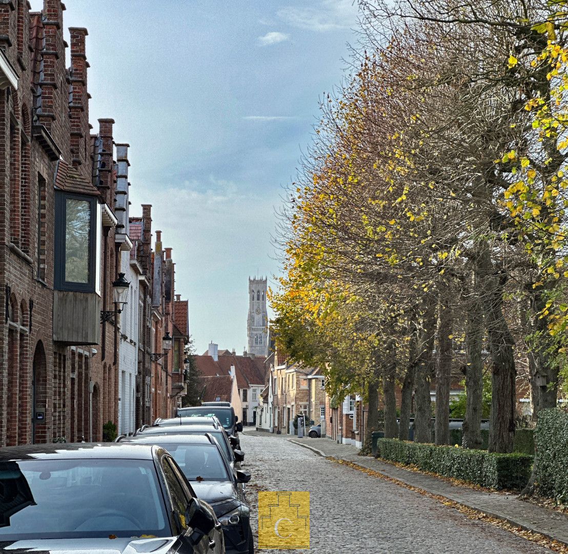 riante stadsvilla in Knokse stijl met grote garage, diverse terrassen en sublieme tuin, zicht op de Molens en alle Brugse torens, grondoppervlakte 655 m2 foto 34