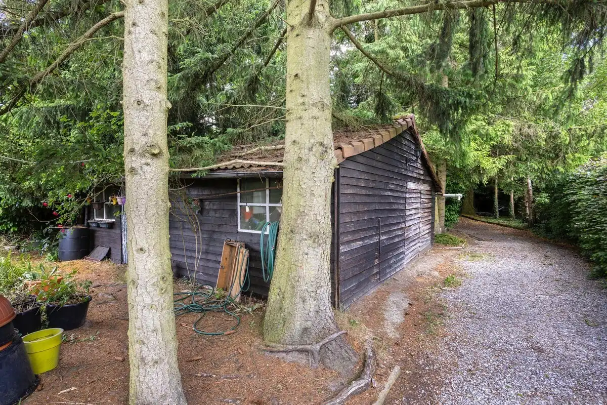 Ruime woning met 3 slaapkamers en grote tuin foto 21