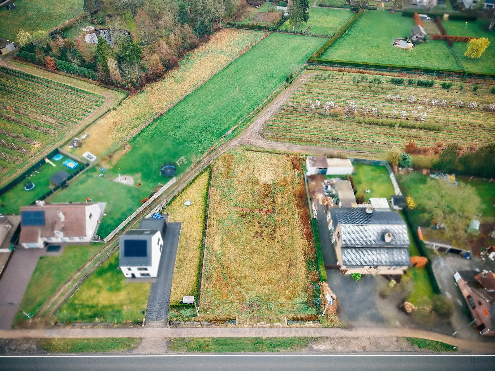 Moderne BEN-woning met zicht op groen foto 7