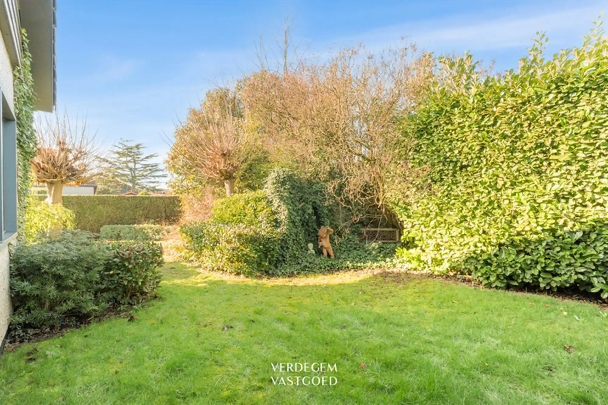 Bungalow met 3 slaapkamers, garage en zonnige tuin in kindvriendelijke woonwijk foto 17