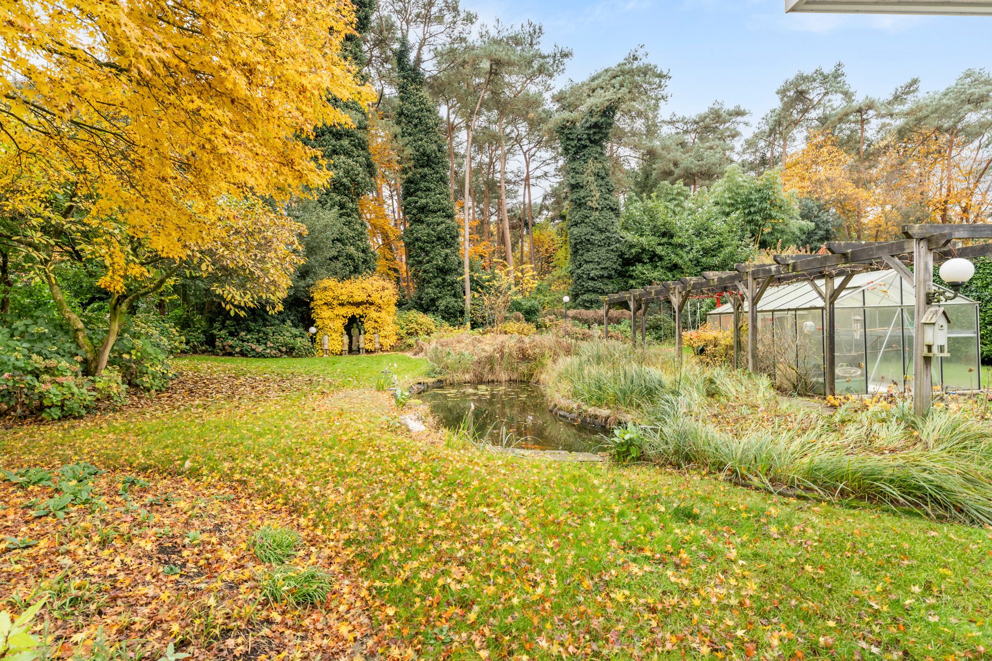 Ruime woning met kantoorruimte + extra bouwgrond op prachtige ligging te Eksel foto 25