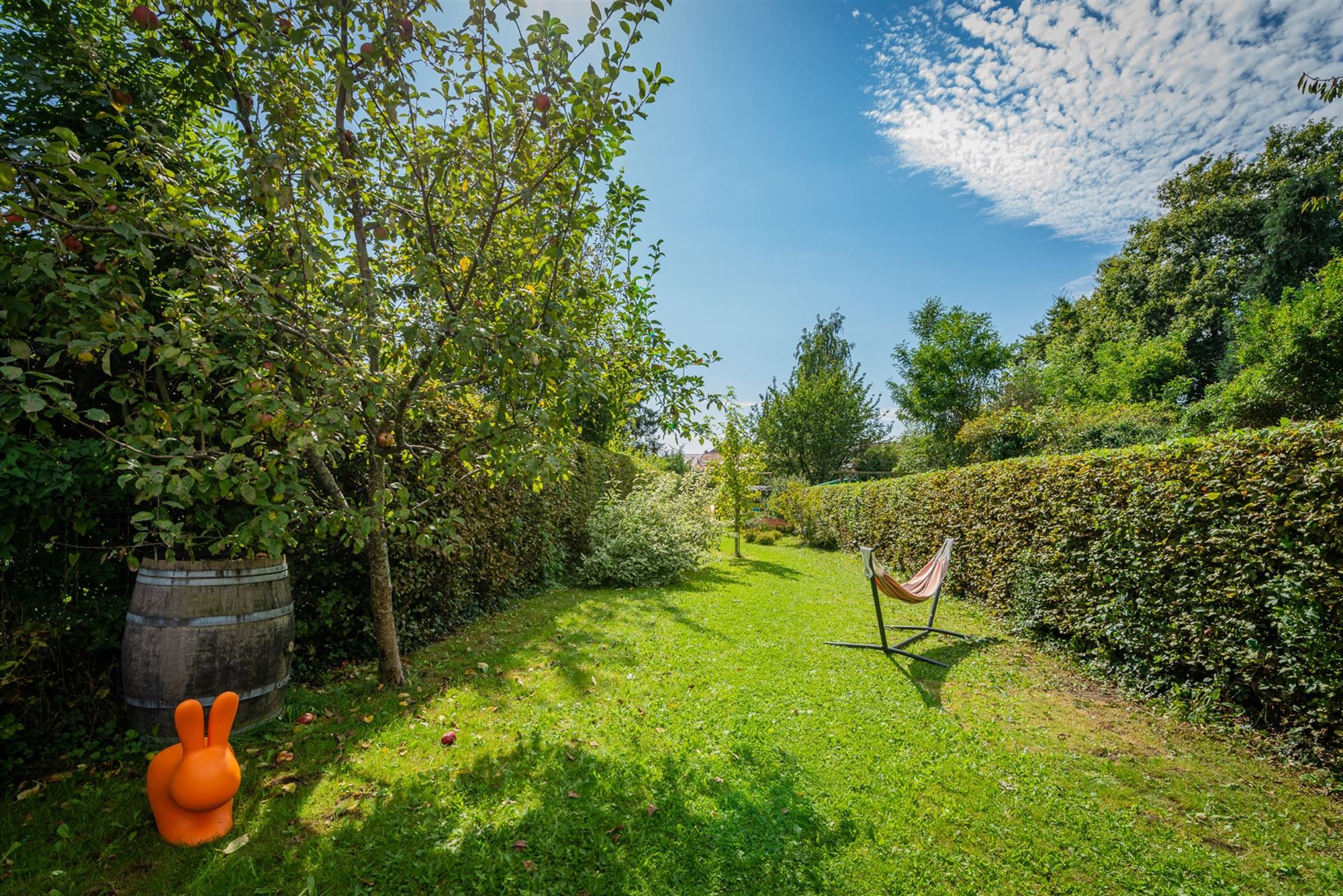 prachtige gezinswoning 4 kamers, 2 badkamers + tuin!  foto 30