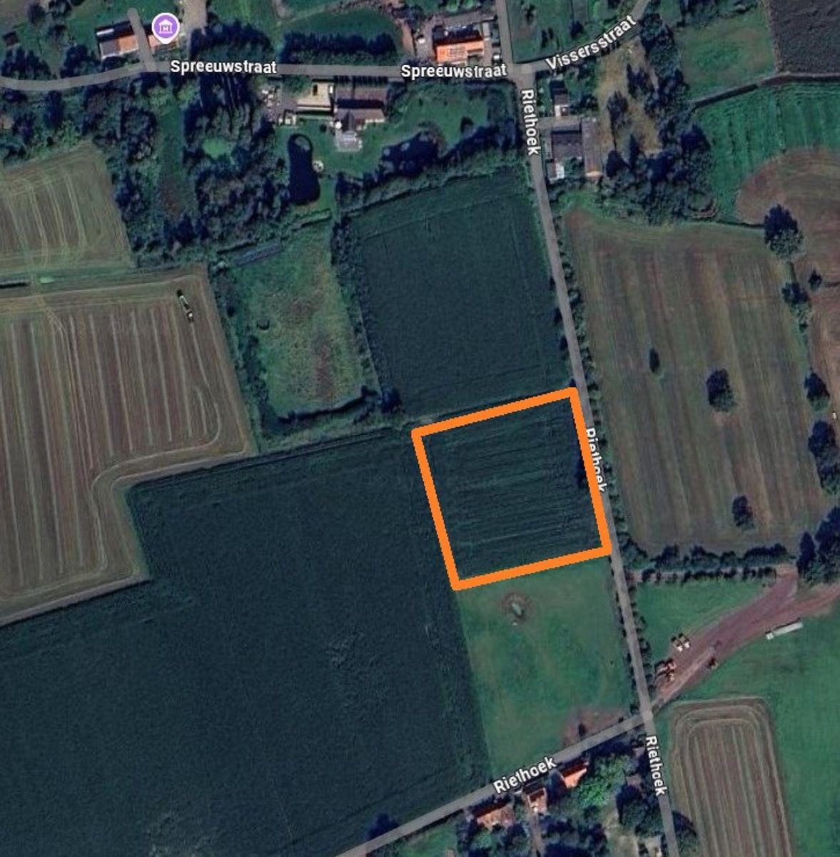 Weiland vrij van pacht! foto 2