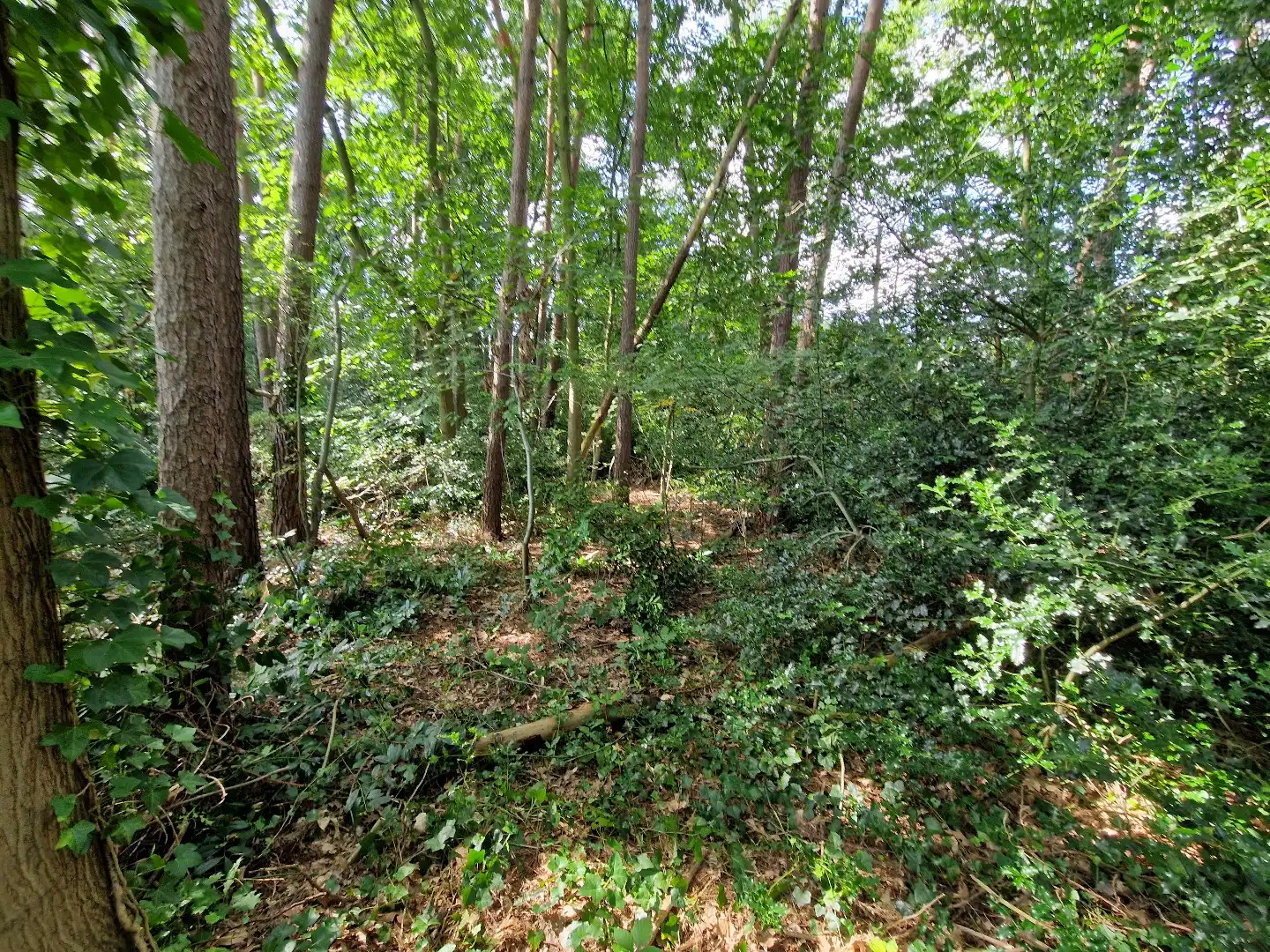 ! IN OPTIE - VERKOOP IN AFHANDELING ! foto 3