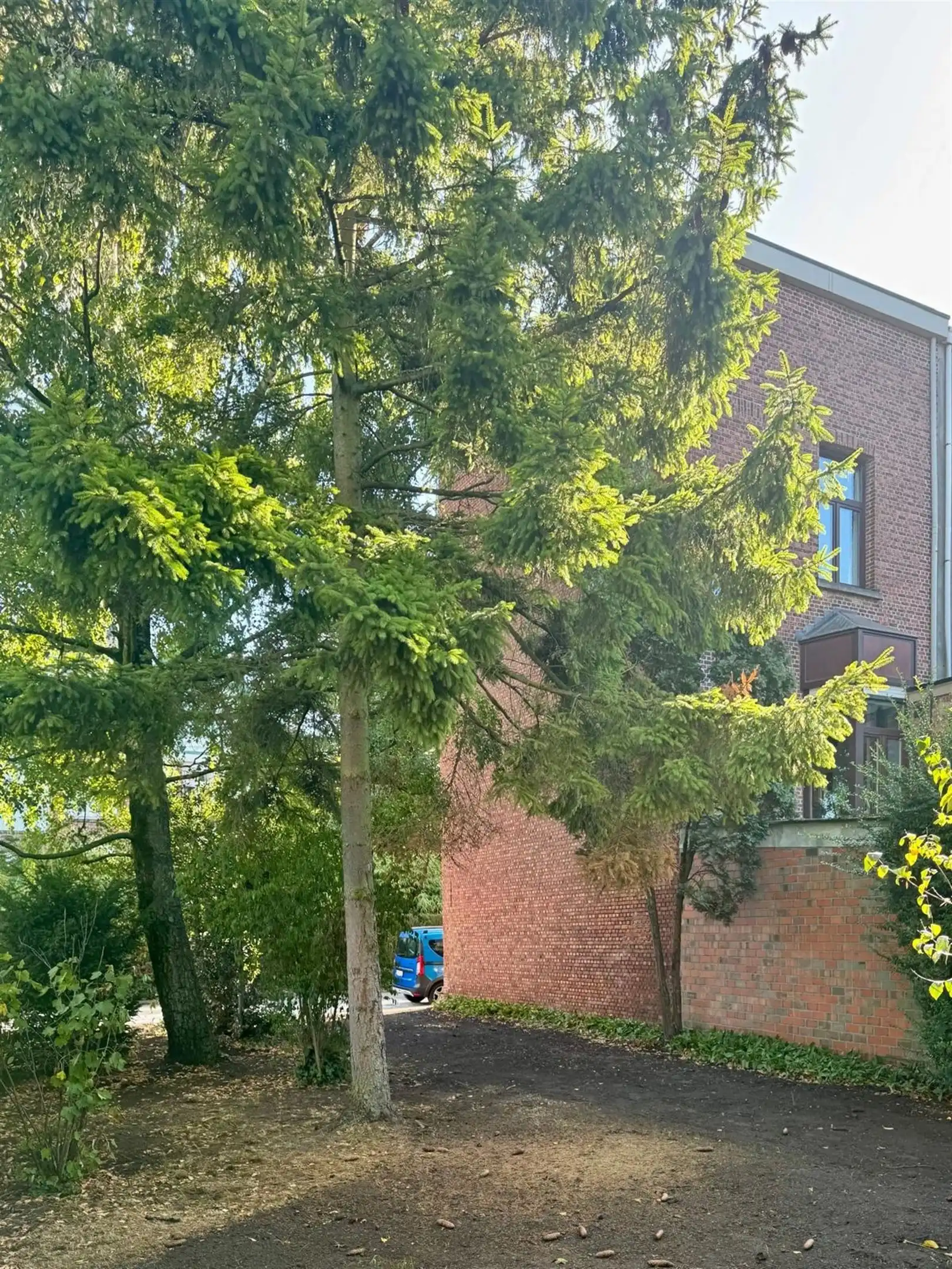 Halfopen bouwgrond in een rustige dreef foto 6