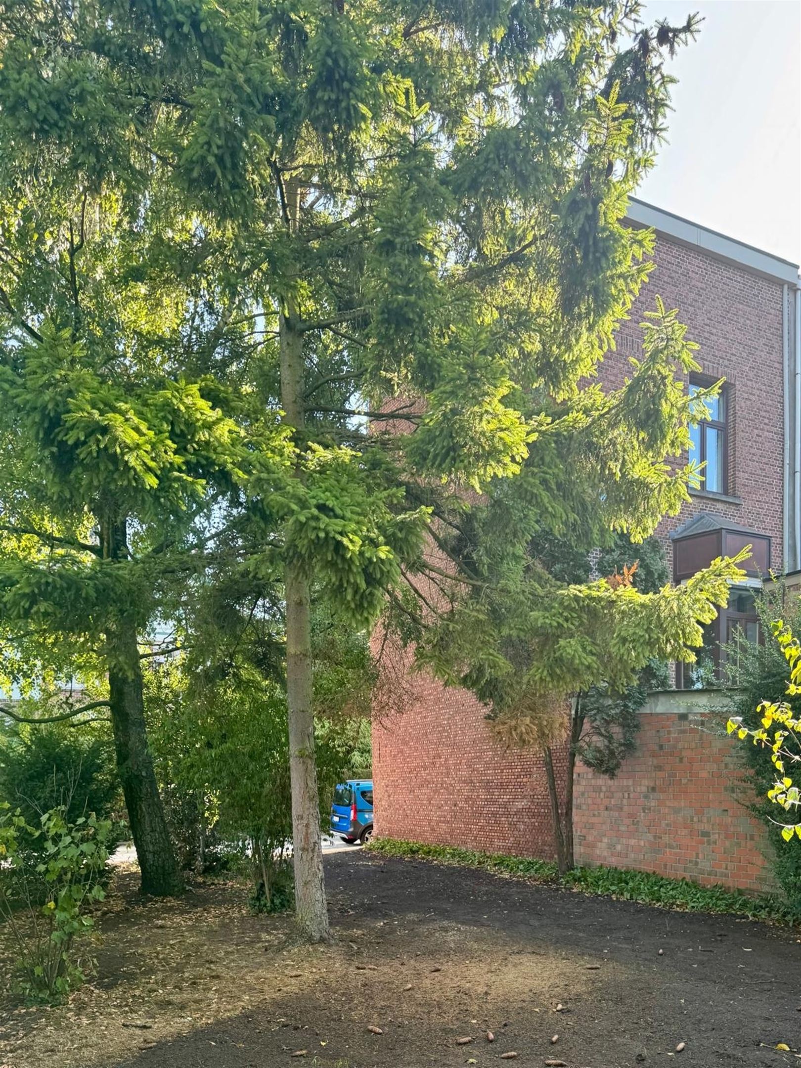 Halfopen bouwgrond in een rustige dreef foto 6