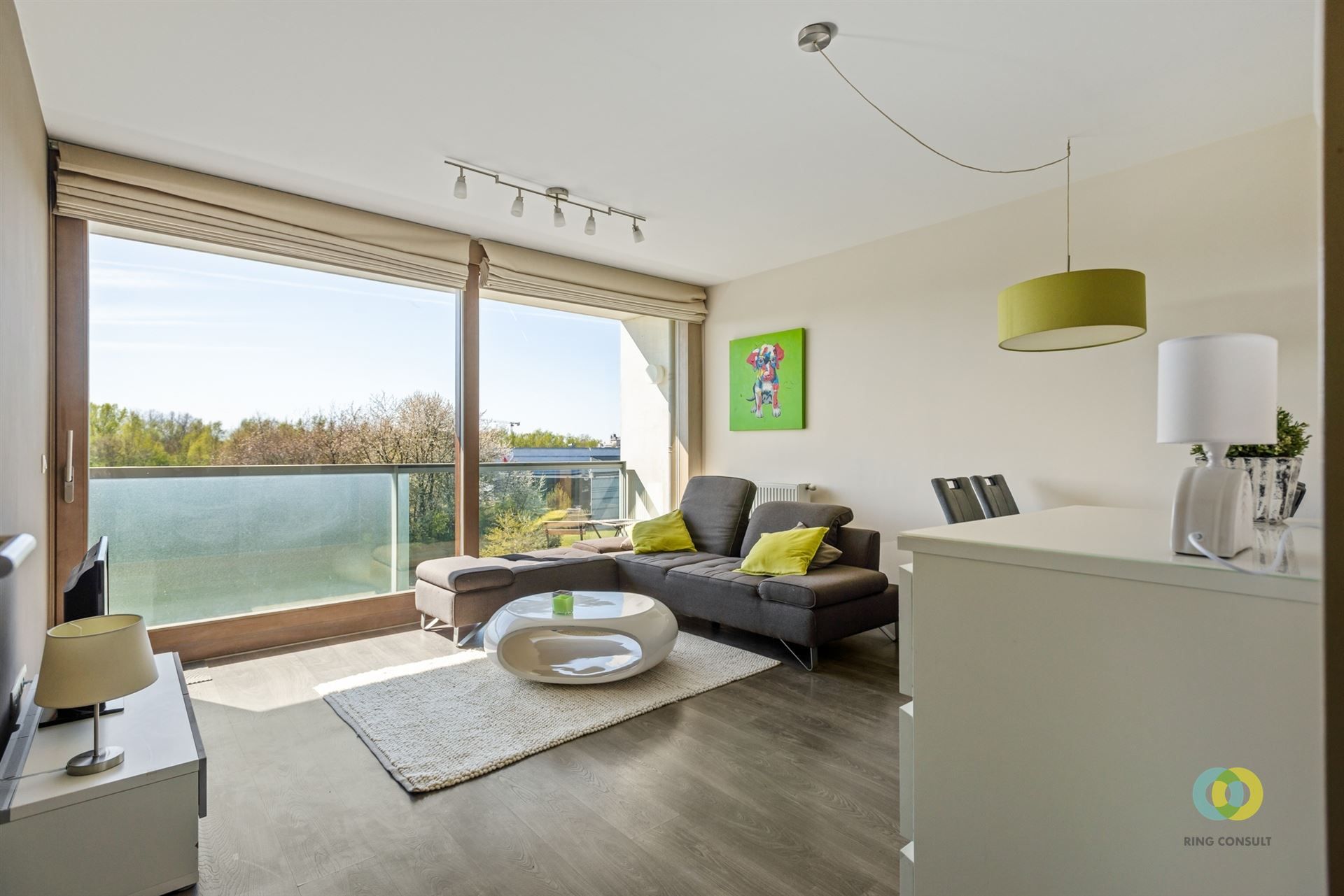 Gemeubeld appartement foto 6