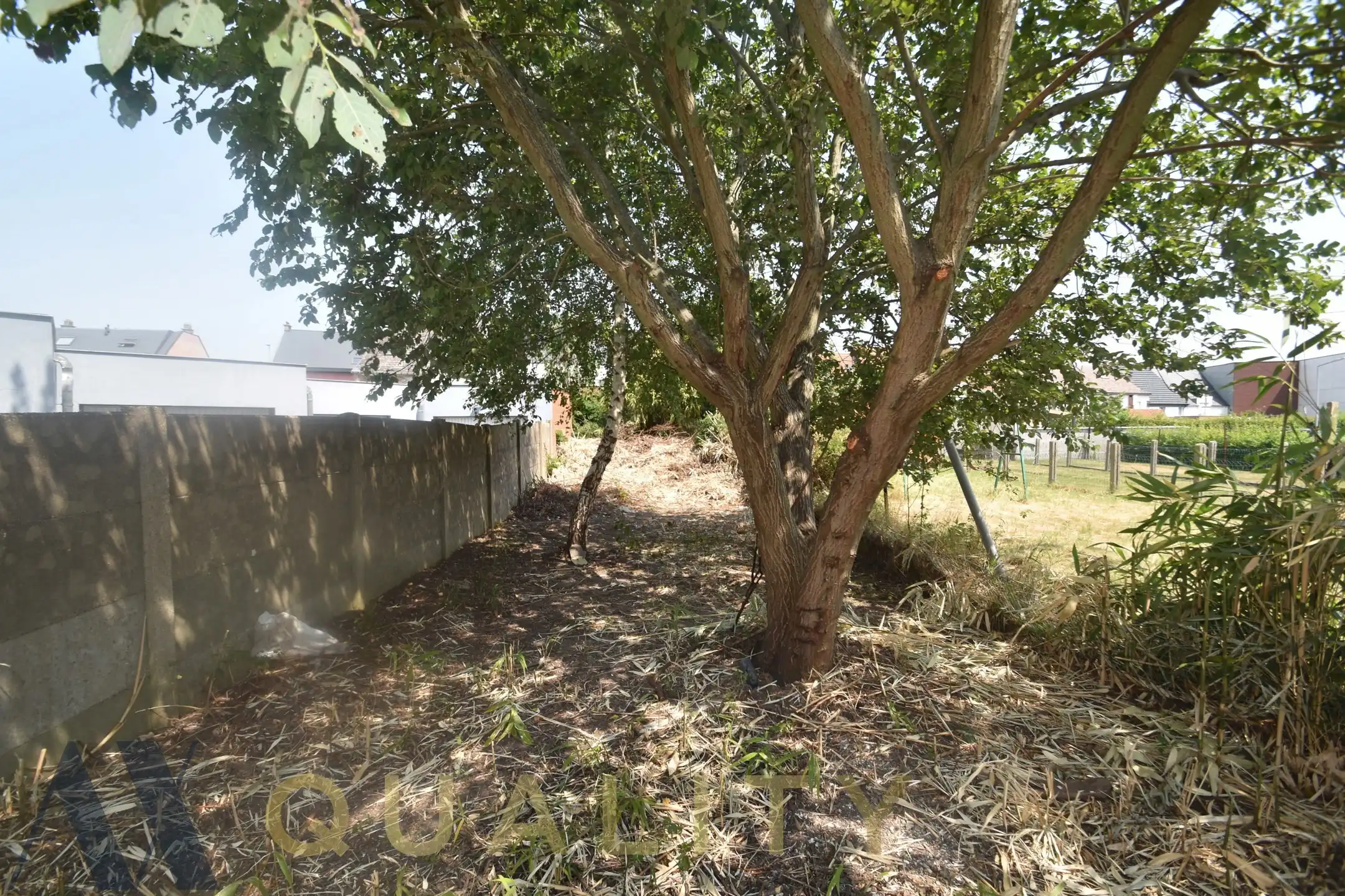 Nabij het centrum van Lebbeke gelegen te renov. rijwoning of bouwgrond op een terrein van 2 are 80 ca.  foto 7