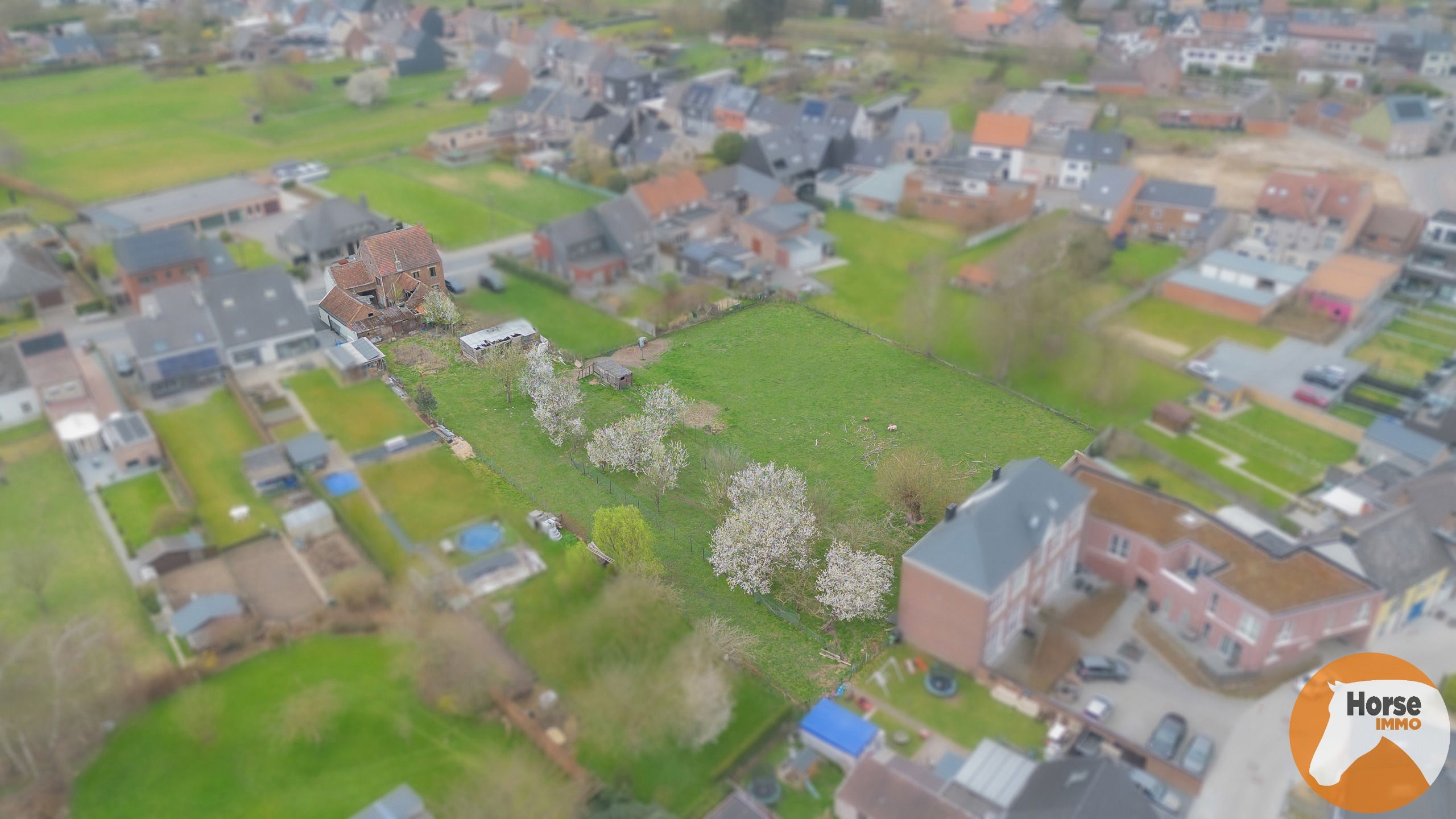 HAALTERT-  Renovatieproject met veel potentieel op 43a 84ca! foto 25