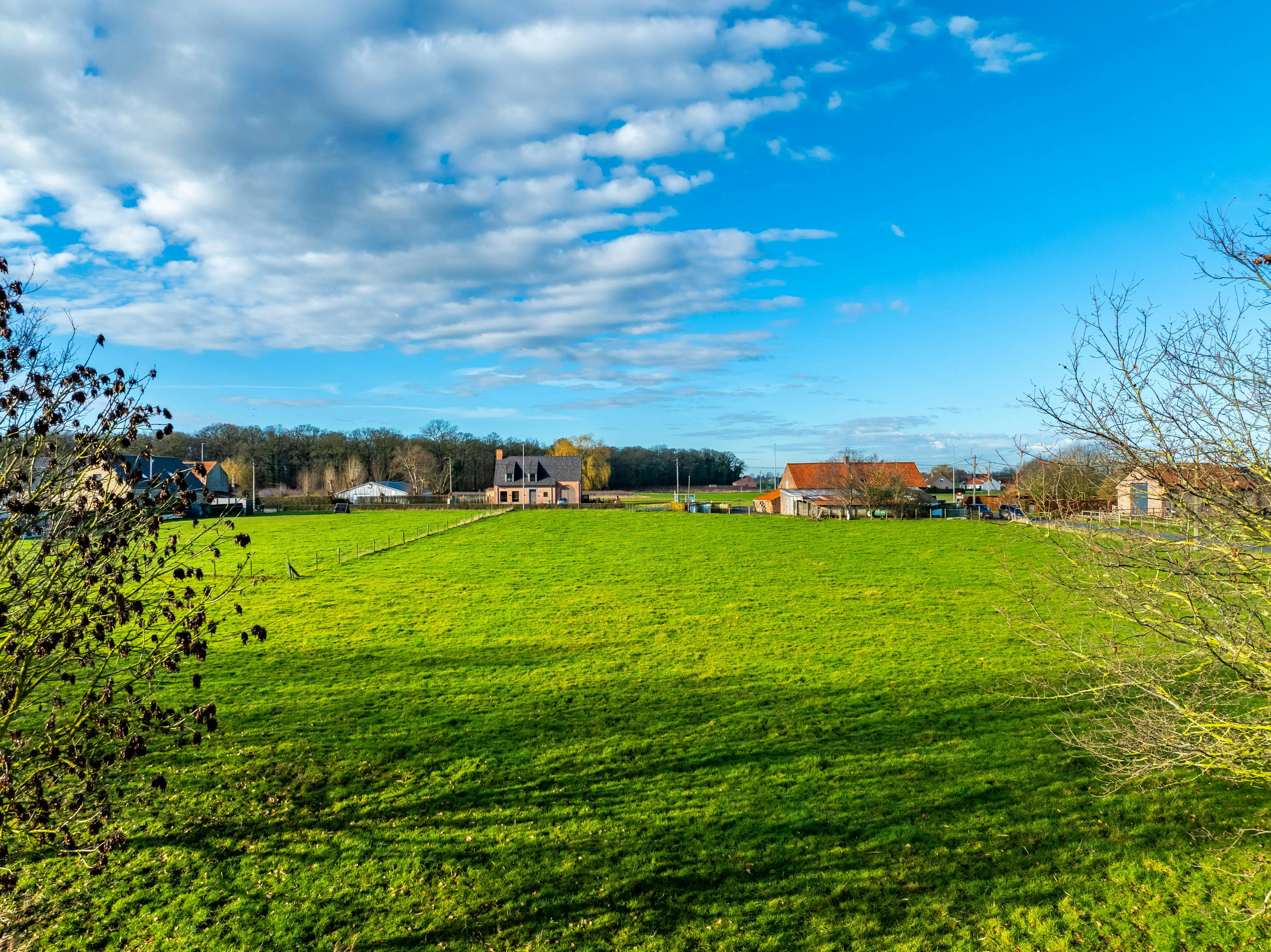Alleenstaand huis met weide te koop op 12.055 m² foto 15