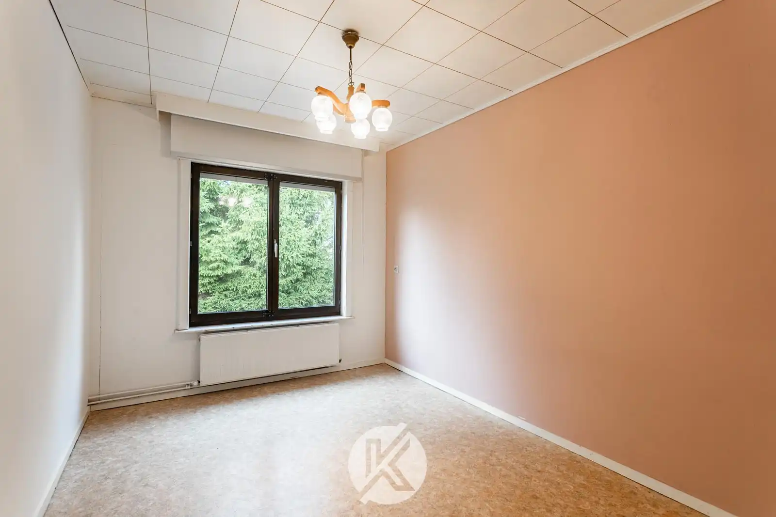 Ruime woning met uitzicht op omliggend landschap foto 16