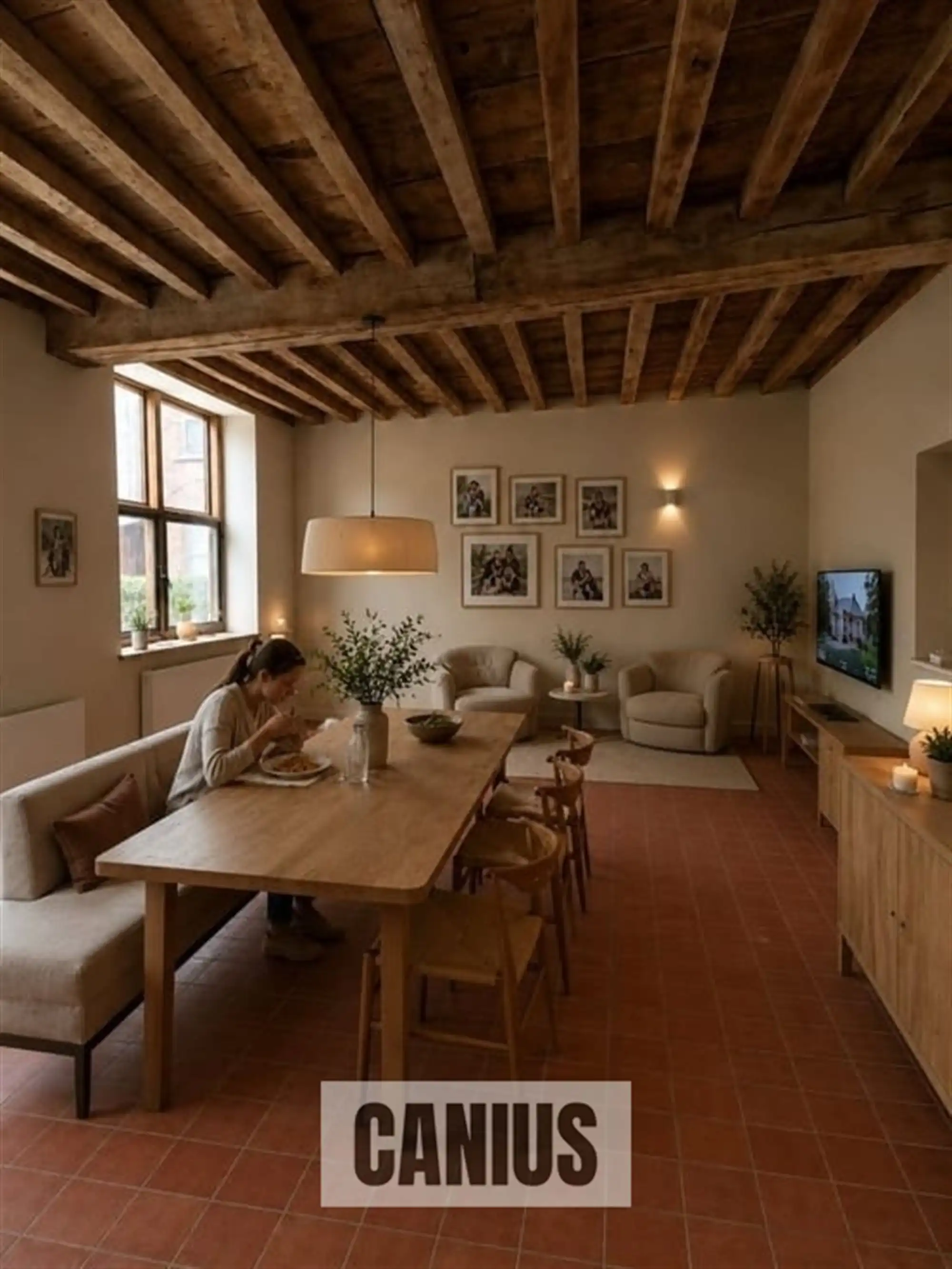 STATIGE WONING MET 3 SLKS EN TERRAS  foto 6