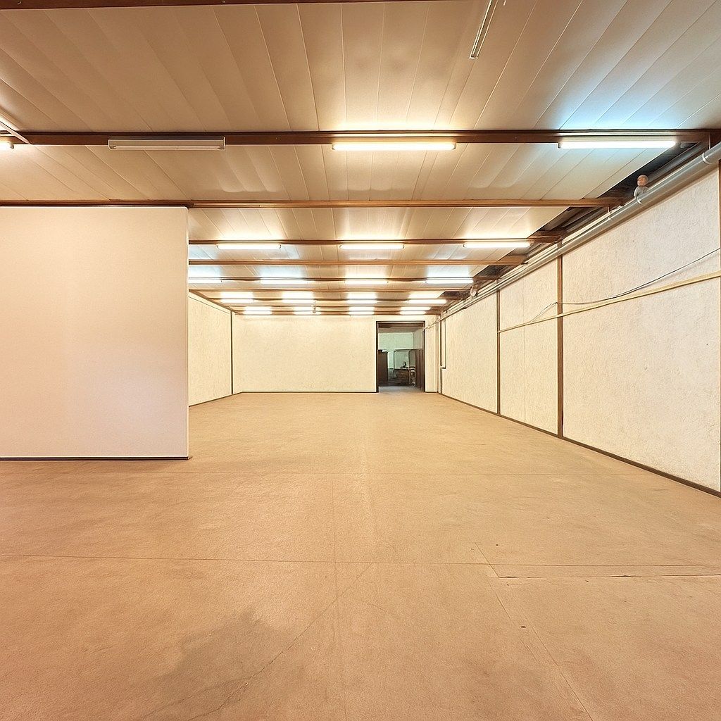 Ruim handelspand met magazijnen, loods, bureelruimte en grote tuin foto 6