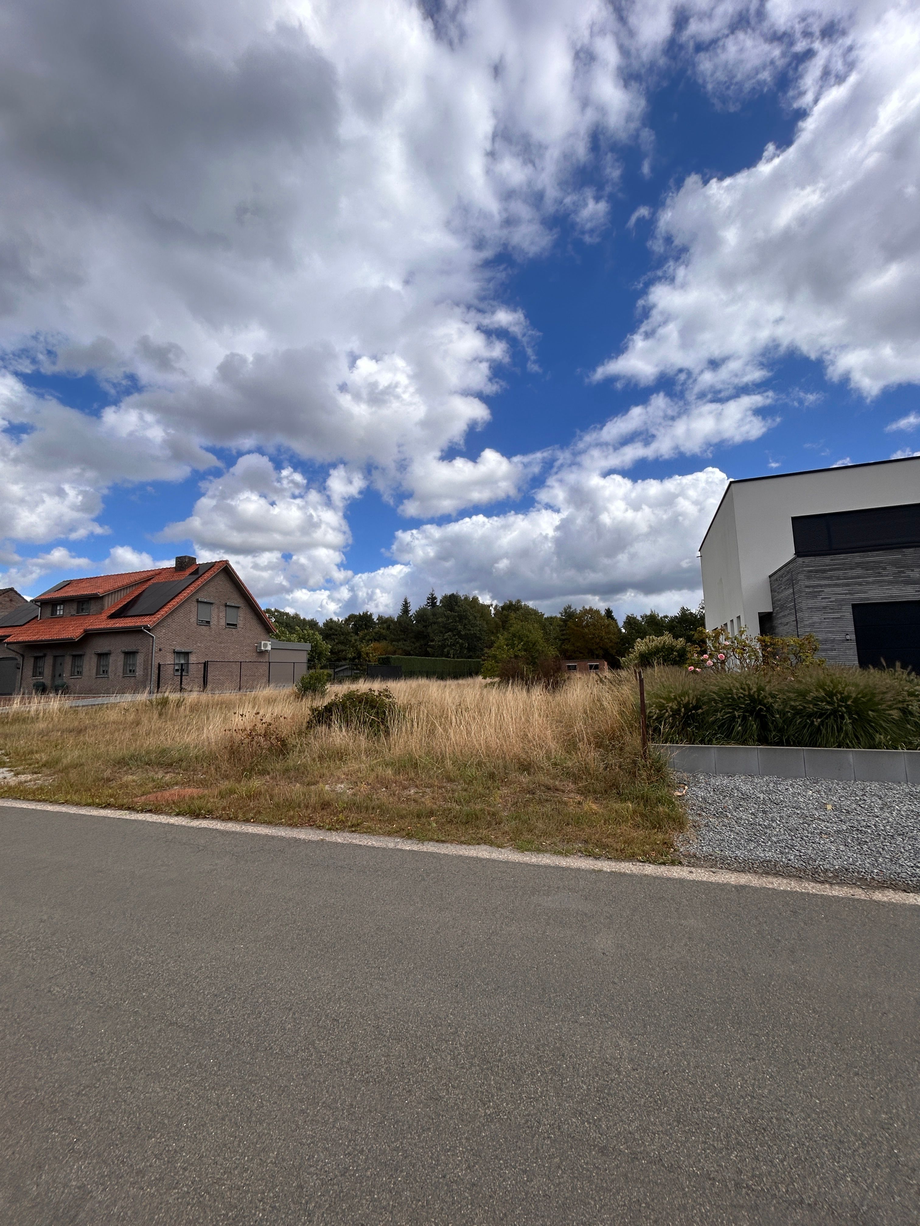 TE KOOP: Rustig gelegen perceel voor ééngezinswoning op 11a 57ca (Spechtenstraat – Hechtel) foto 2