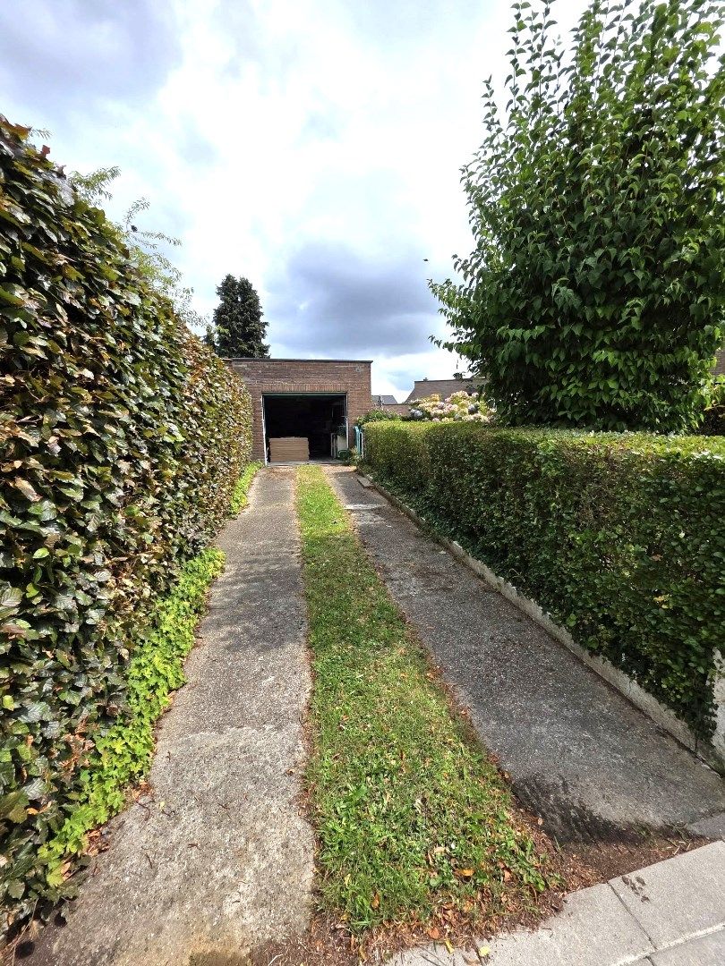 Waar een wil is, is een weg... foto 19