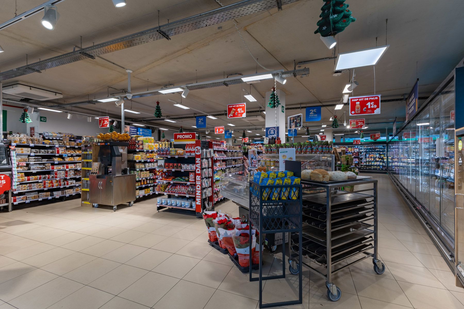 Commercieel gelijkvloers (392 m2)  foto 3