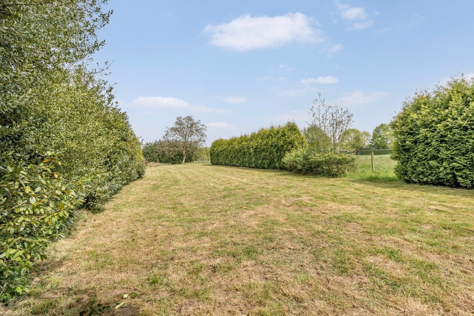 Ruime woning in Dorne(Maaseik) met 4 slaapkamers, gelegen op een uitzonderlijk ruim perceel. foto 6