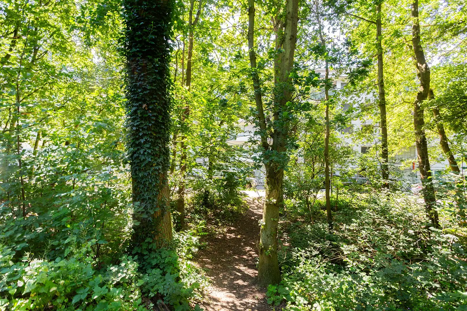 Thuiskomen met de Bremweide als buur foto 24