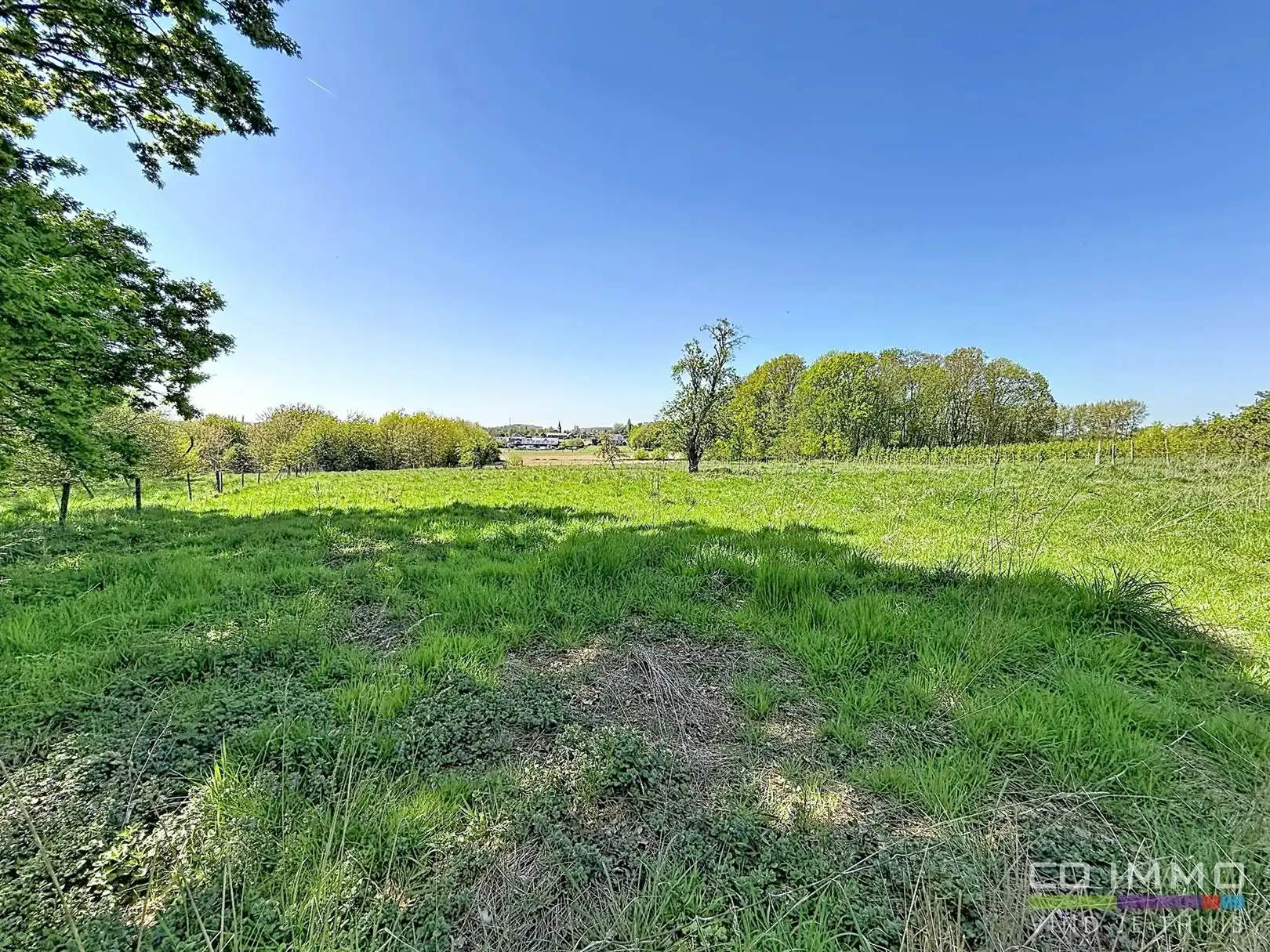 Karaktervolle woning, 4 slpks op een perceel van > 1 hectare foto 7