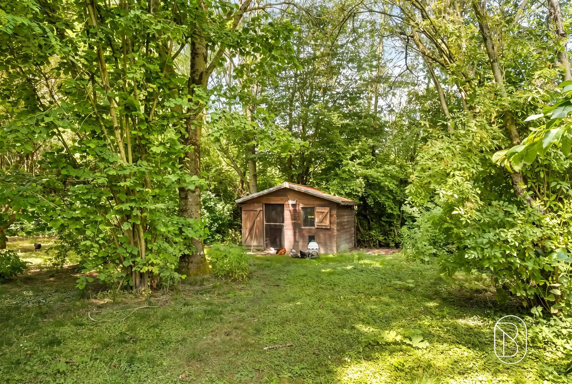 Uitzonderlijke af te werken villa woning op 5.600 m² foto 10