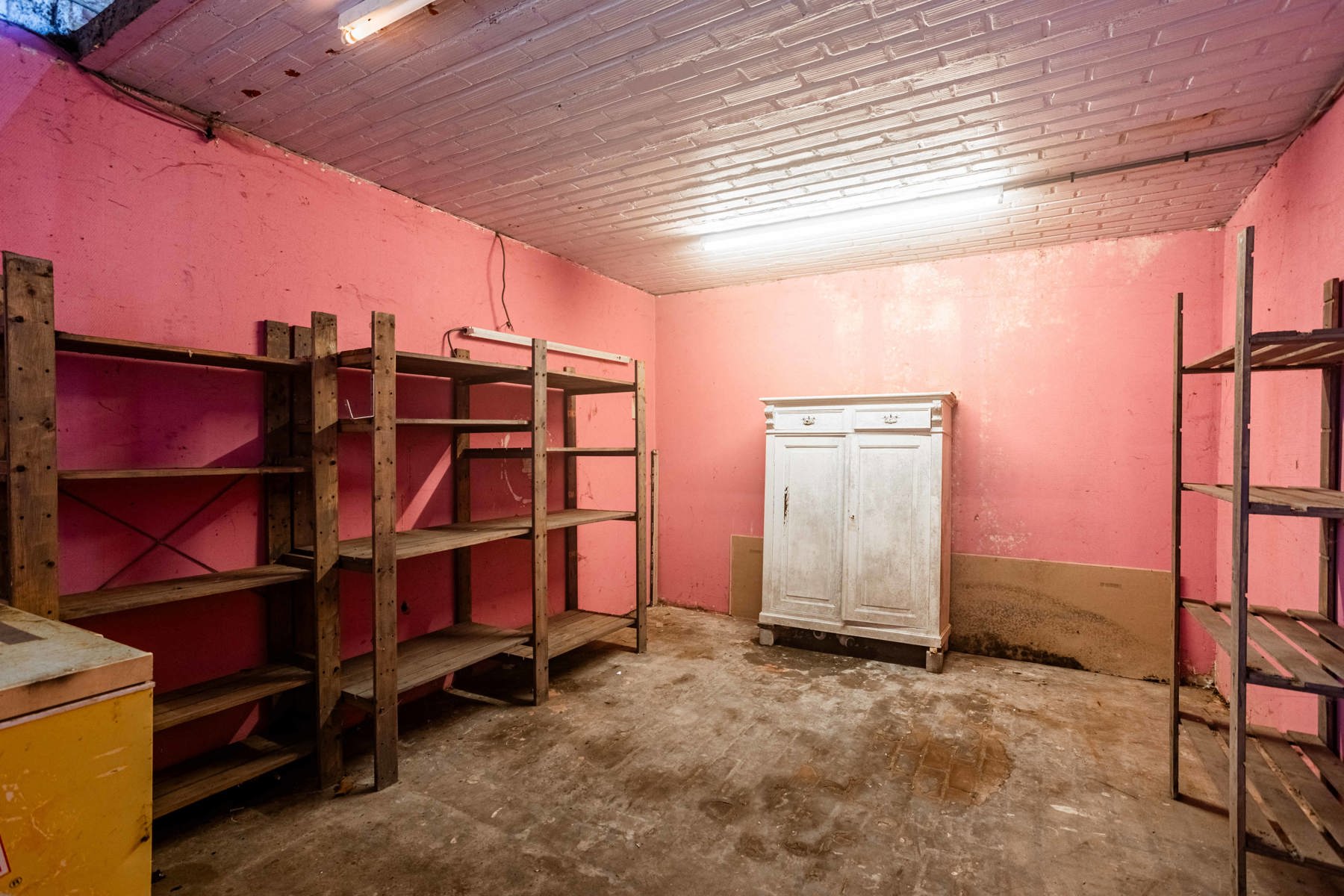 Investeringproject woning/grond/weide op 3623 m² foto 22