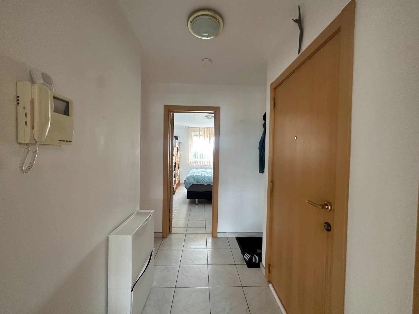 Ruim appartement met zuidgericht terras foto 4