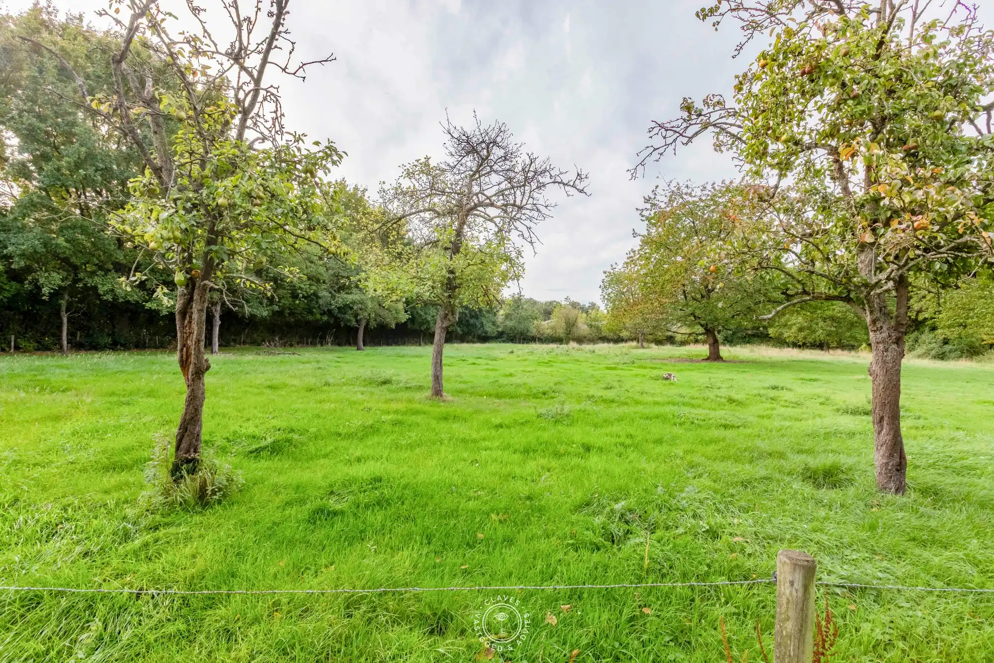 Uniek landhuis met charme en meer dan 10.000 m² eigen grond foto 3