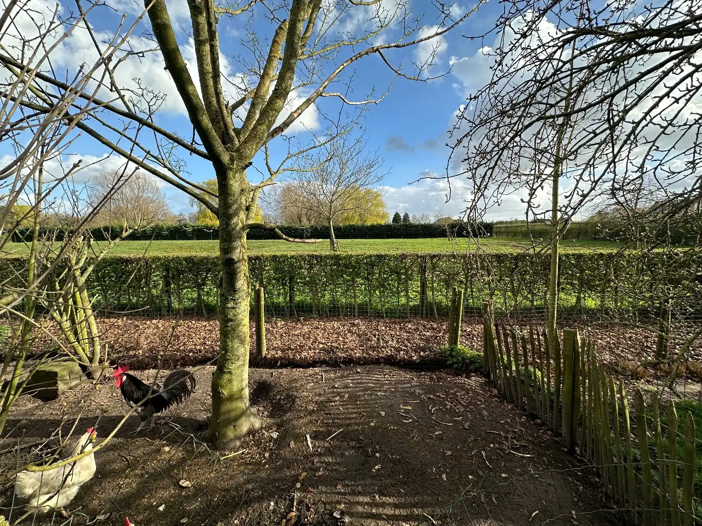 Vrijstaande woning met mooie tuin, perceel van 1158 m², Torhout. foto 23