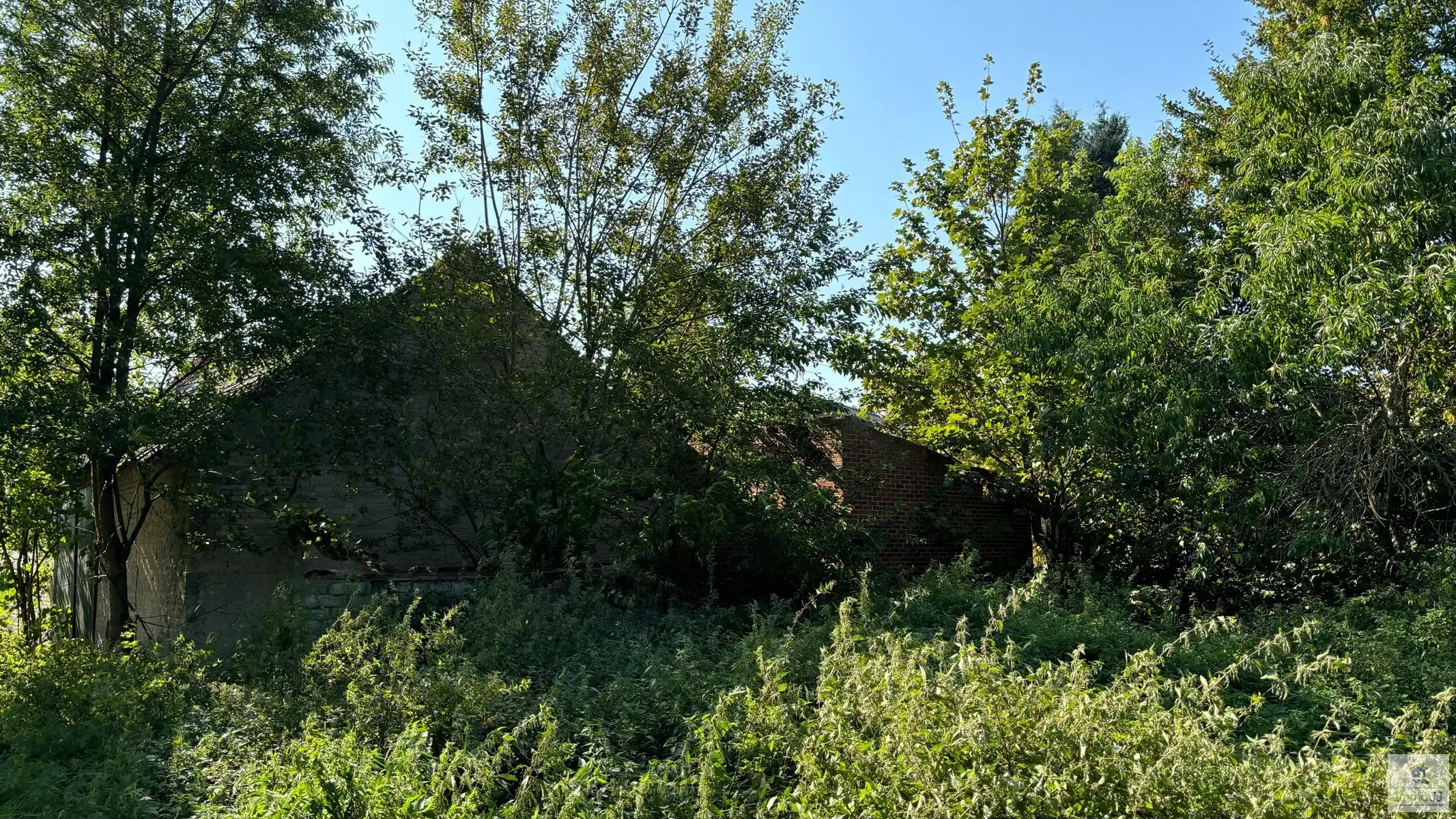 Te renoveren hoeve met weiland foto 4