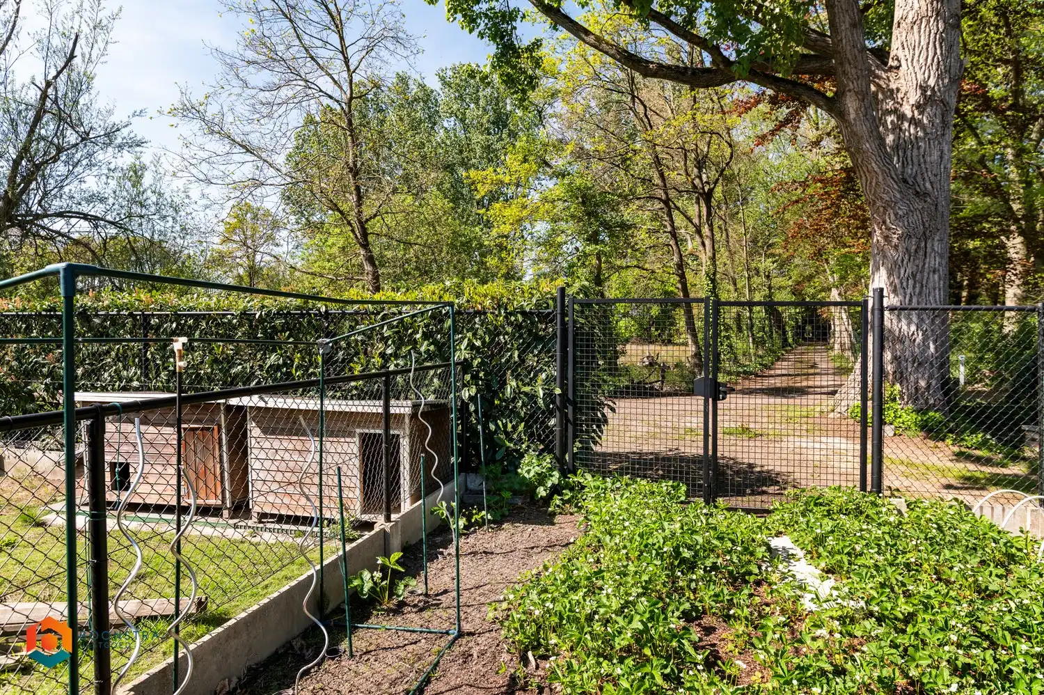 Gelijkvloerse woning met 3 slpkrs en prachtige tuin foto 23
