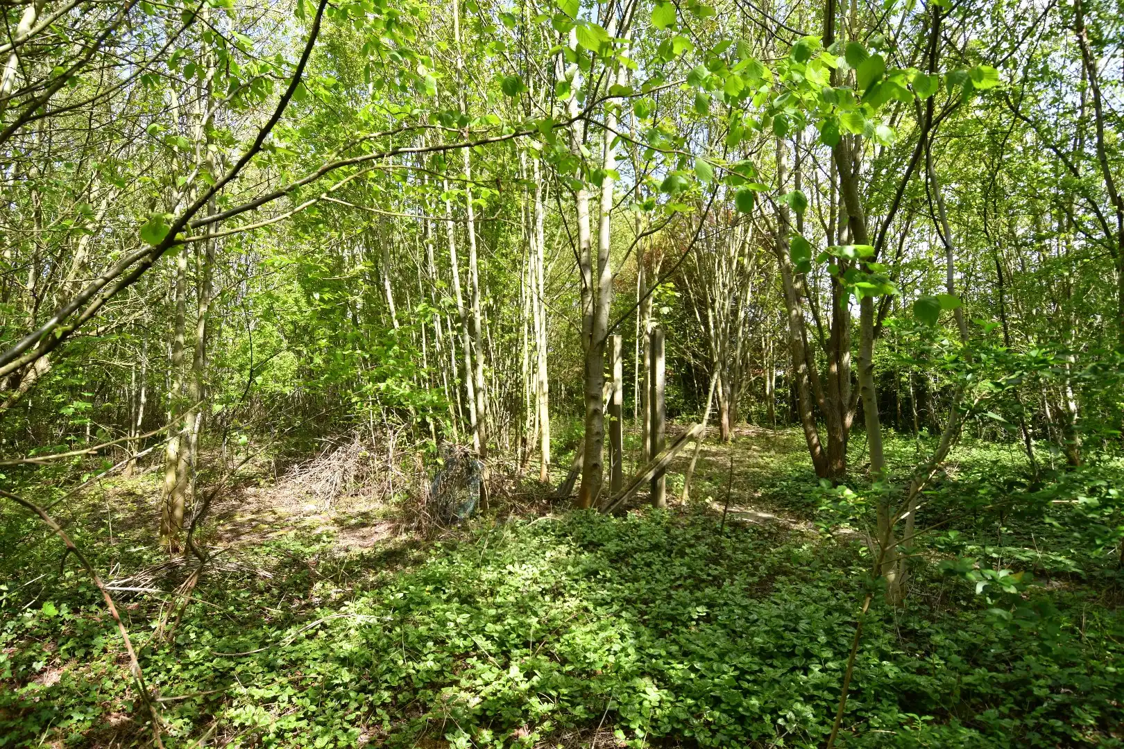 Charmant gelegen eigendom van 2.061m² met uitzonderlijk potentieel te koop in Rollegem foto 6