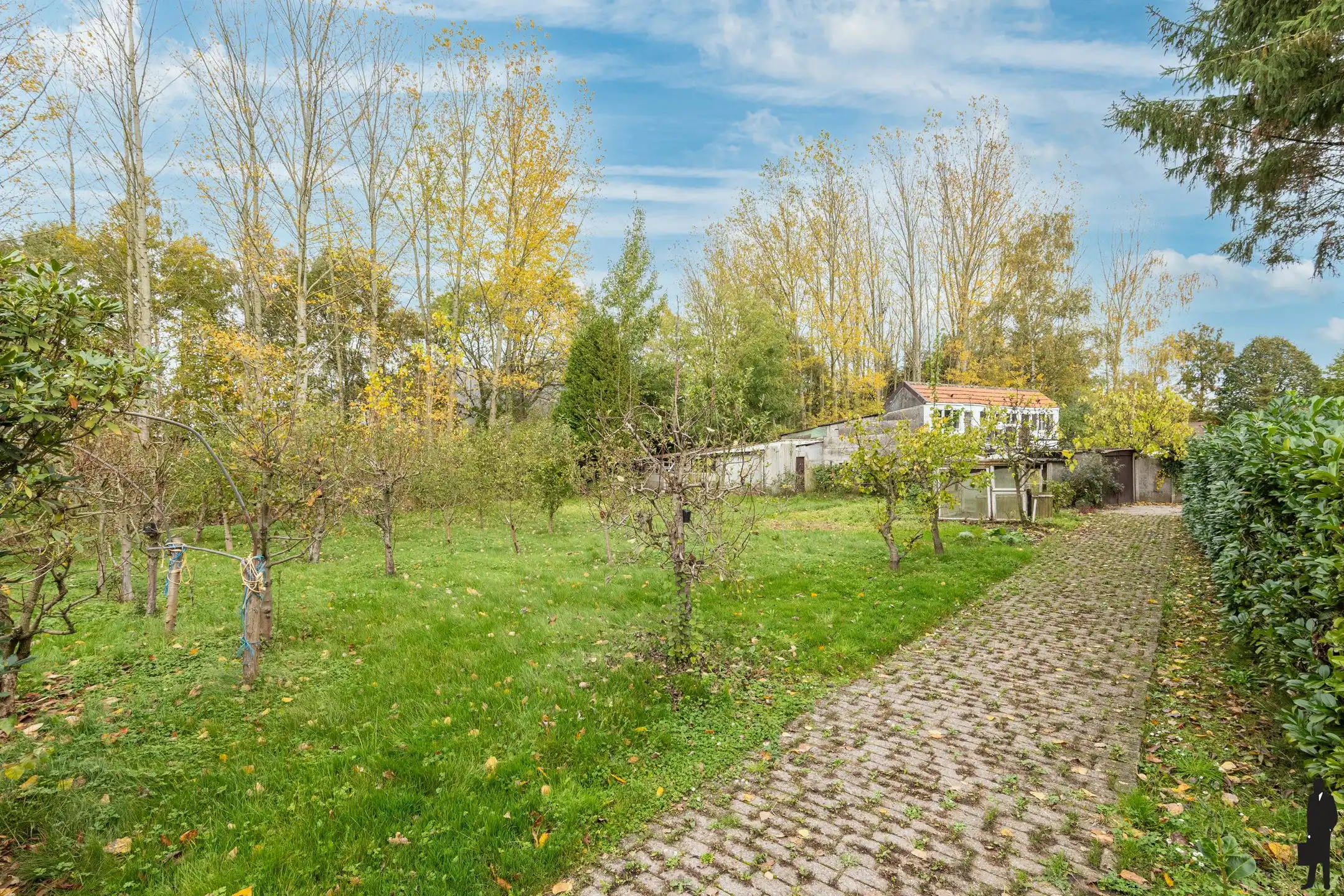 Woning op riant perceel van 8.906m² met vele mogelijkheden foto 27