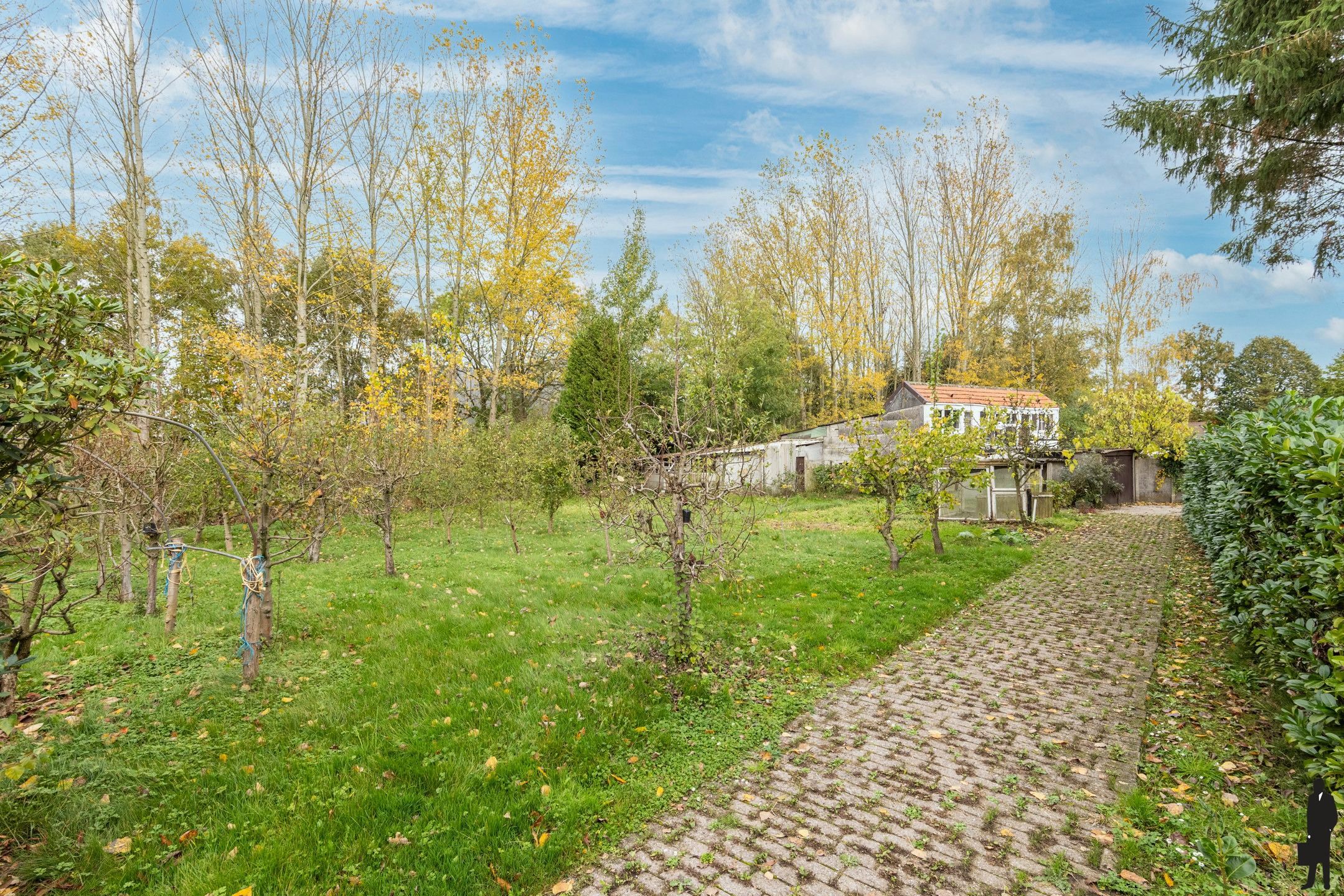 Woning op riant perceel van 8.906m² met vele mogelijkheden foto 28