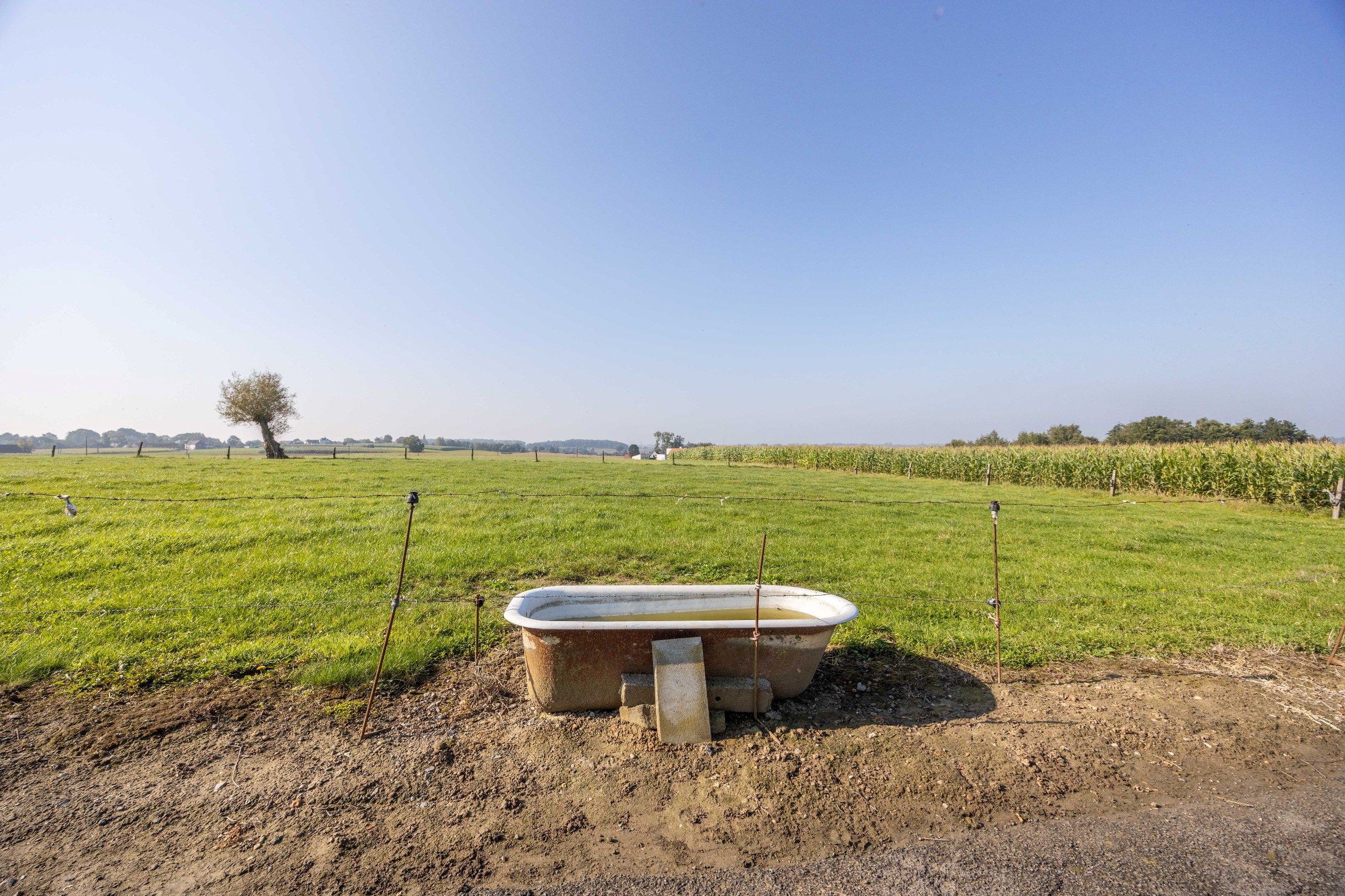 UNIEKE LANDEIGENDOM OP 2,1 HA foto 15