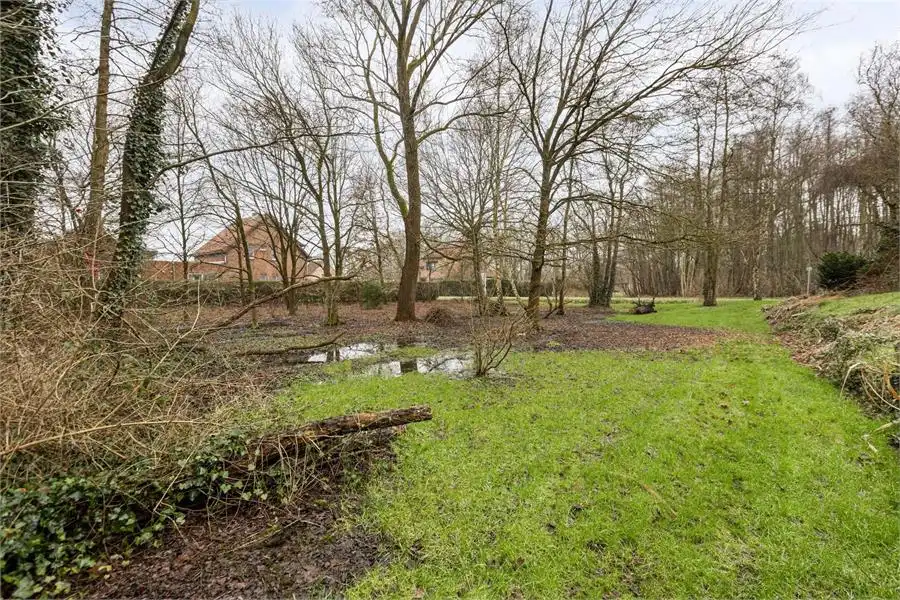 Bouwgrond op 16a 76ca te koop in Tessenderlo-Ham foto 4