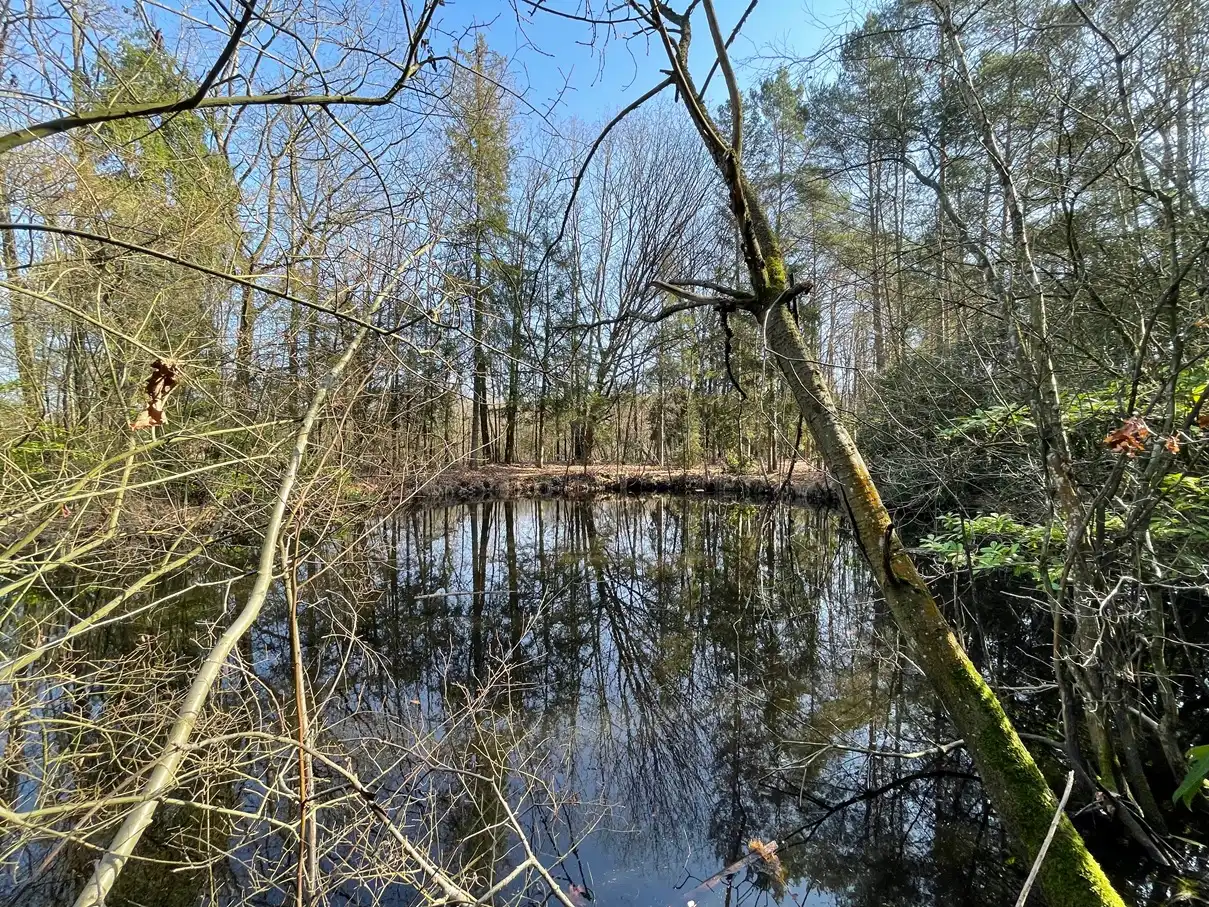 Verblijfsrecreatie met vijver foto 6