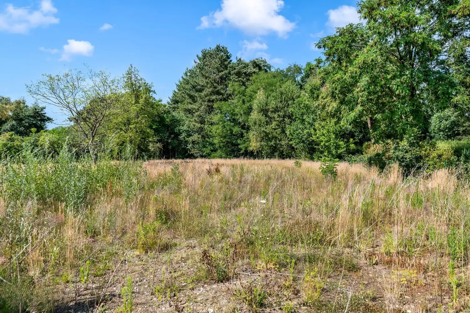 Bouwgrond van 1070 m² voor open bebouwing te Tessenderlo-Ham foto 9