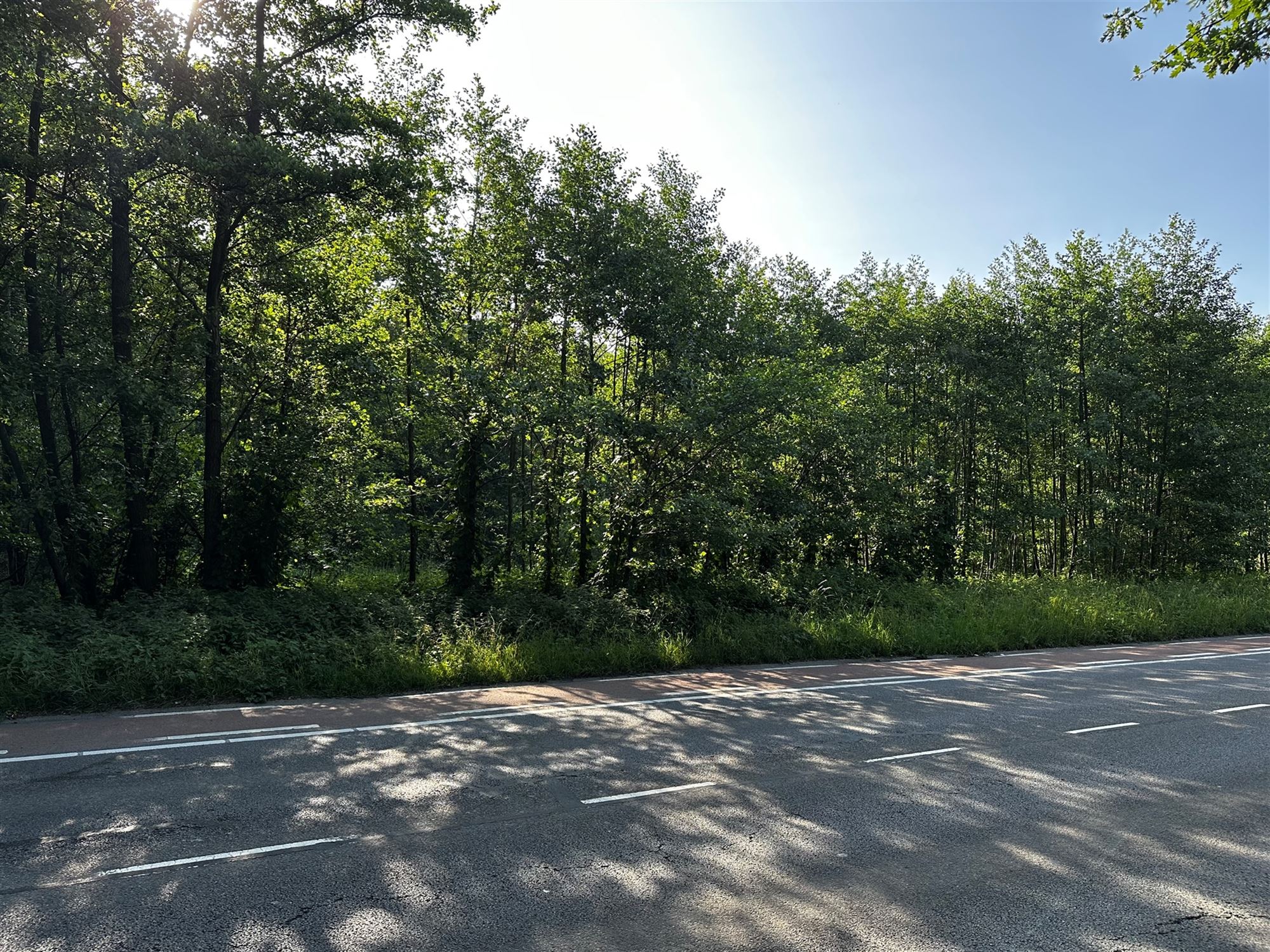 PERCEEL BOUWGROND OP UITERST COMMERCIËLE LOCATIE LANGS DE KOOLMIJNLAAN TE BERINGEN foto 4