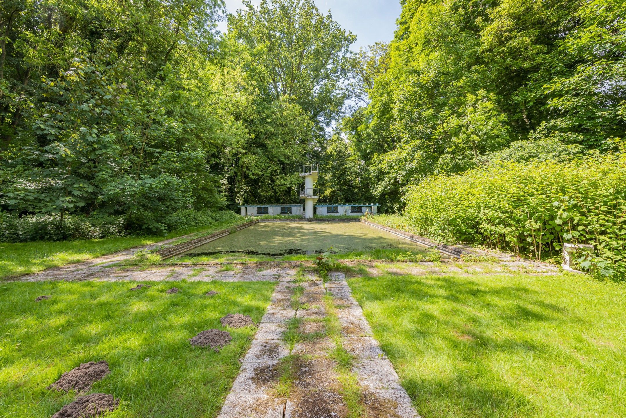 Exclusieve villa met zwembad en privédomein te Dilbeek foto 9