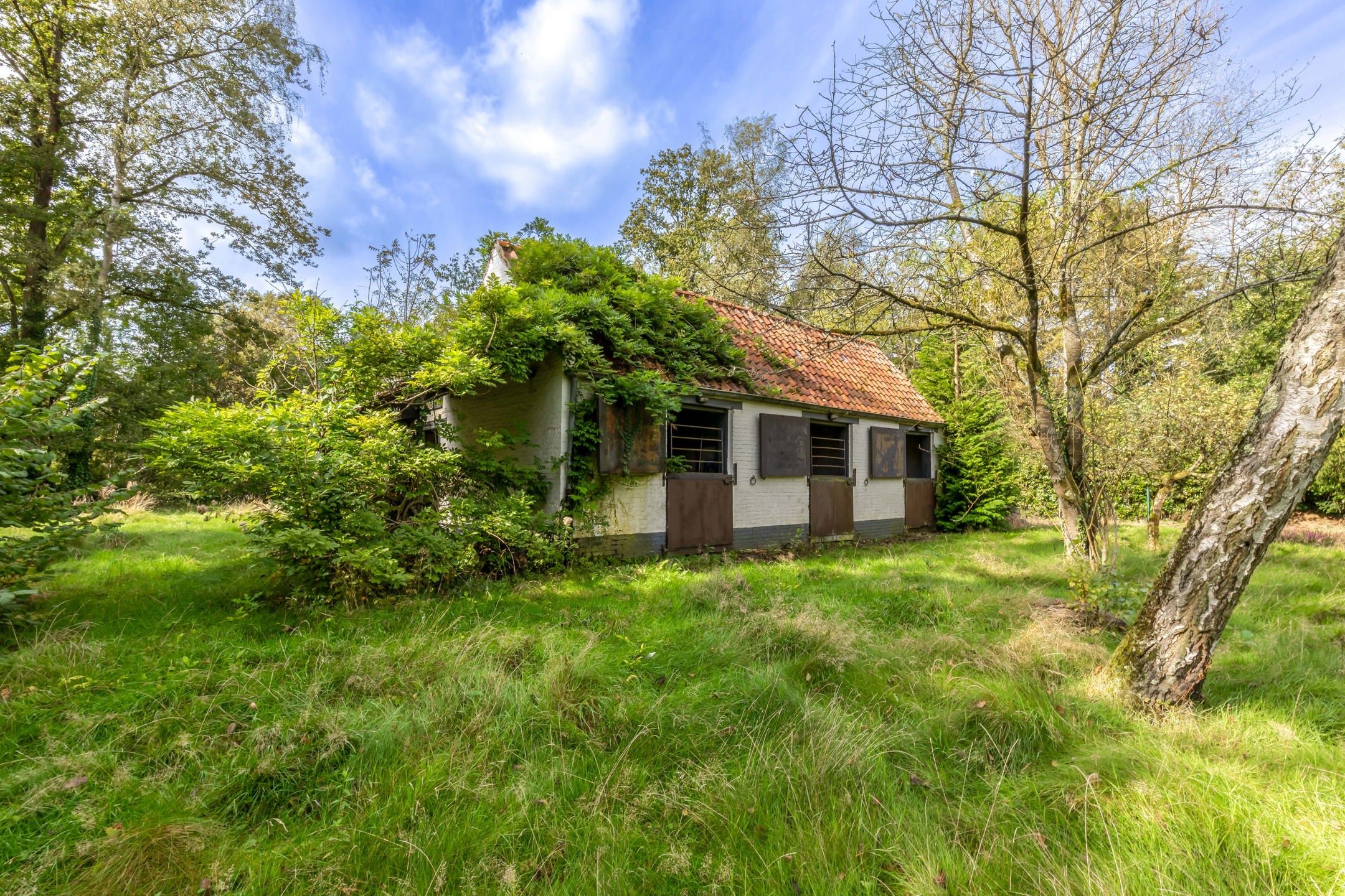 Charmant gerenoveerde villa met weelderige tuin foto 39