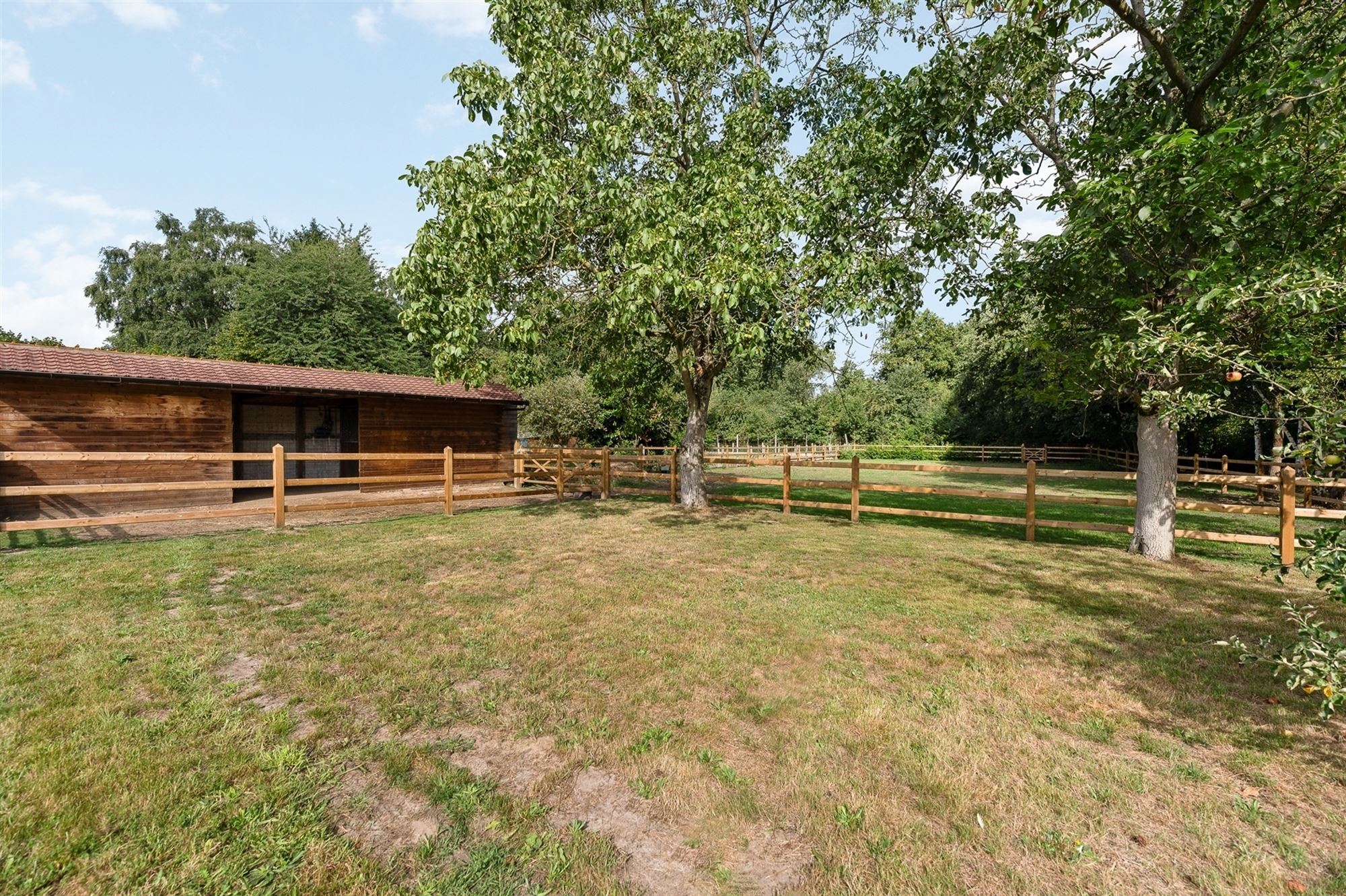 ZEER RUIME EN RECENT GERENOVEERDE WONING OP EEN PERCEEL VAN 2367m² UITGERUST MET EEN VERGUNDE PAARDENSTAL EN ACHTERLIGGENDE WEIDE foto 29