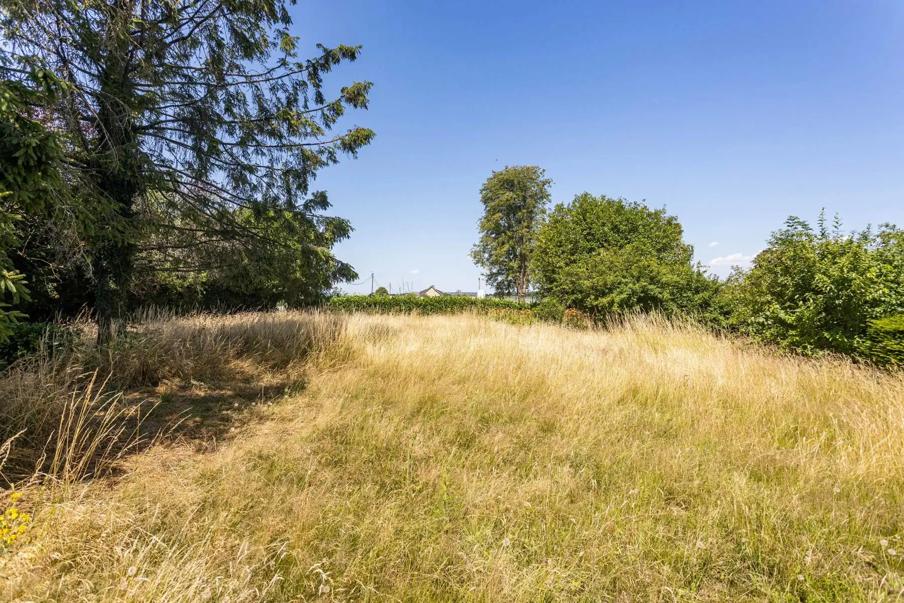 Te renoveren woning met grote tuin en atelier op toplocatie! foto 39