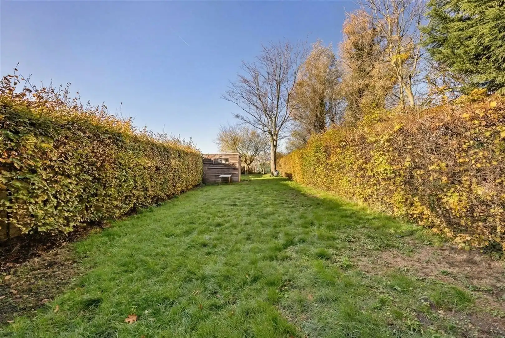 Recente & verrassende ruime woning met commercieel gelijkvloers foto 18