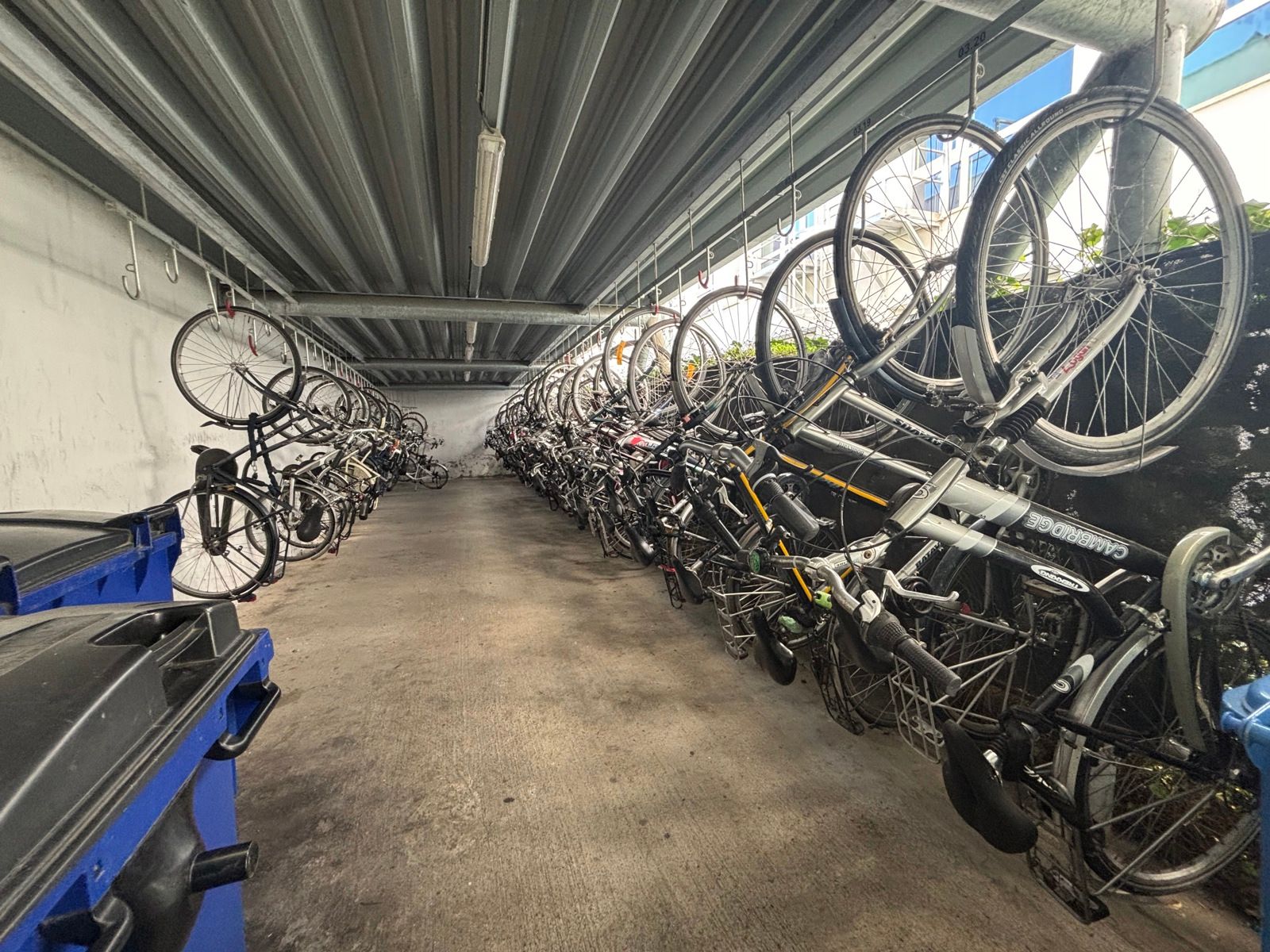 Op kot in Residentie WOOW foto 9