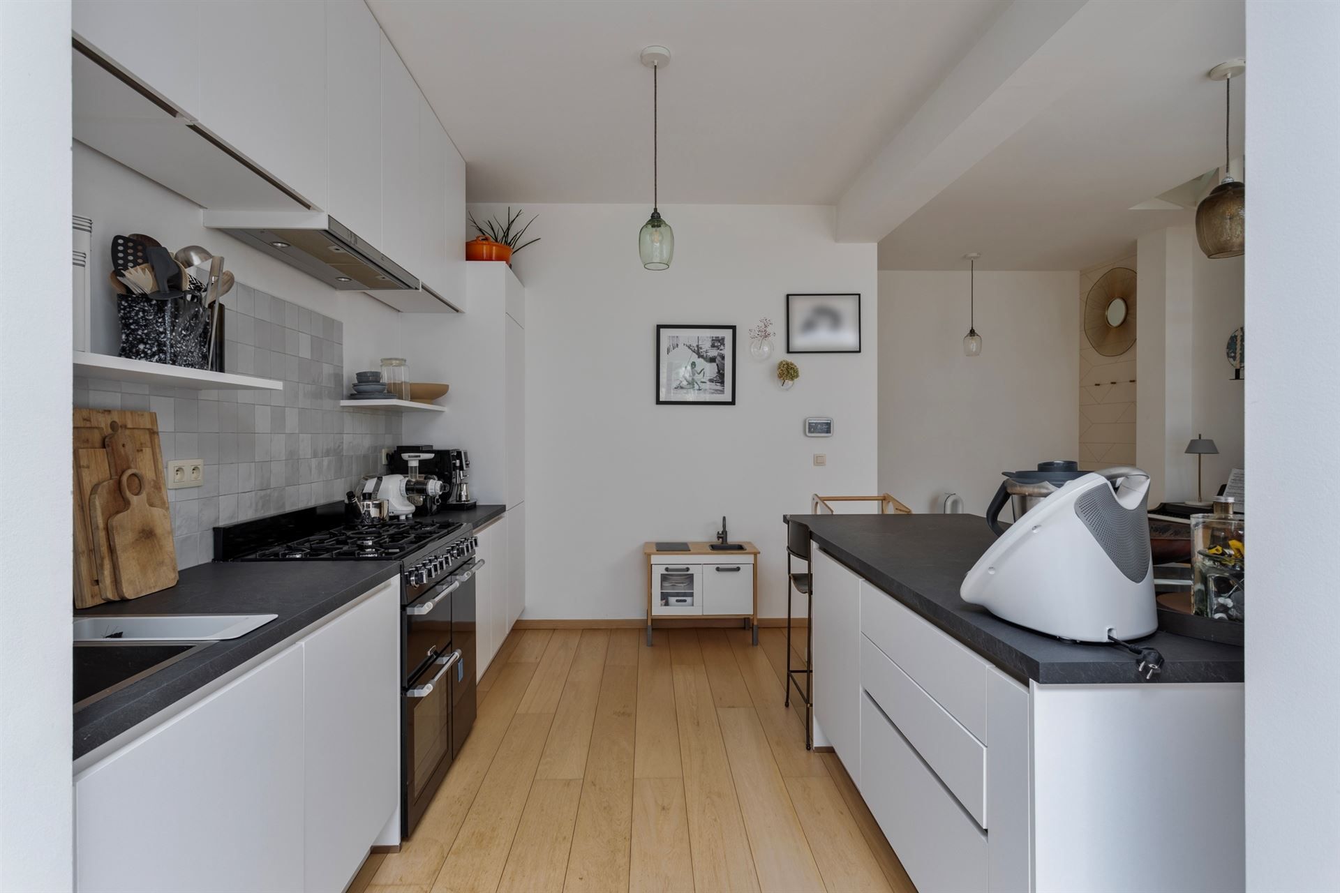 Prachtig gerenoveerd duplex op unieke locatie foto 6