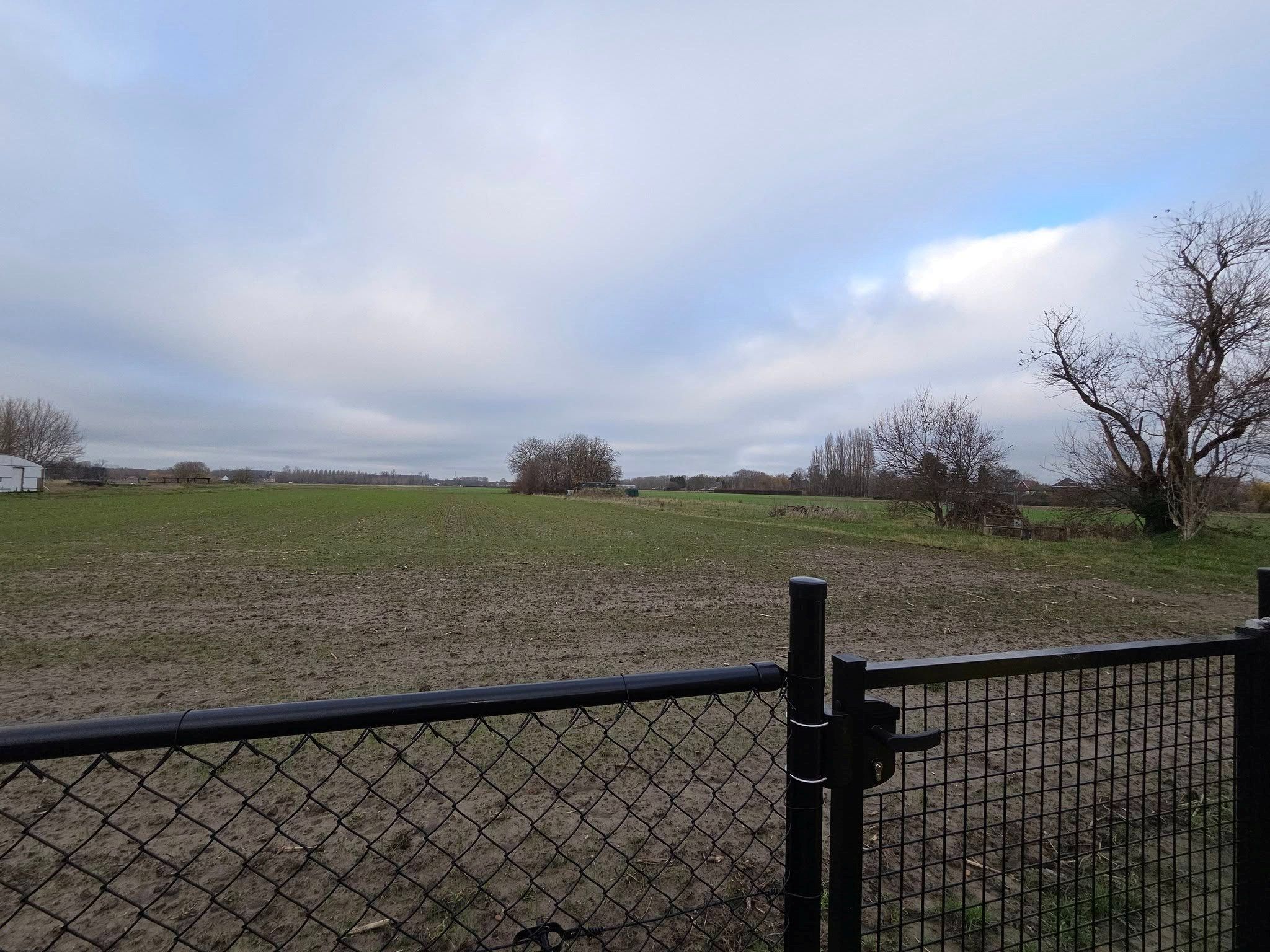 What a feeling (Irene Cara)... foto 22