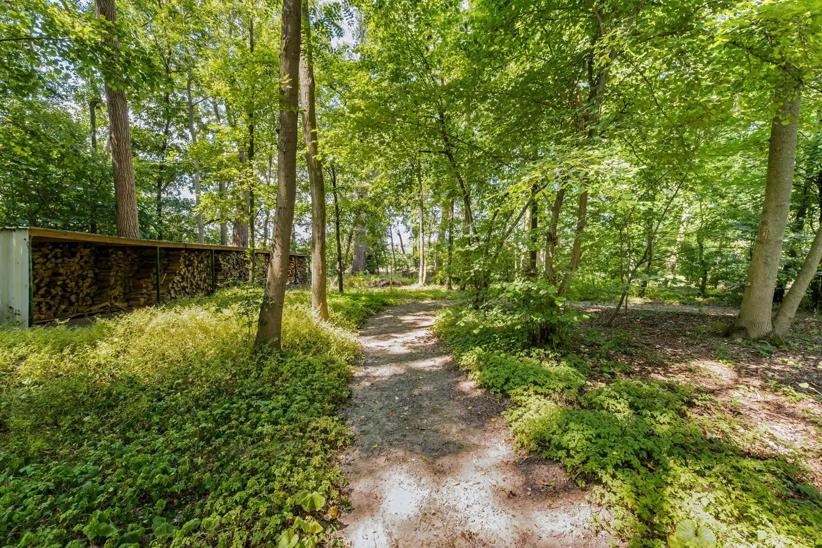 Prachtige Chalet op 3107m² foto 20