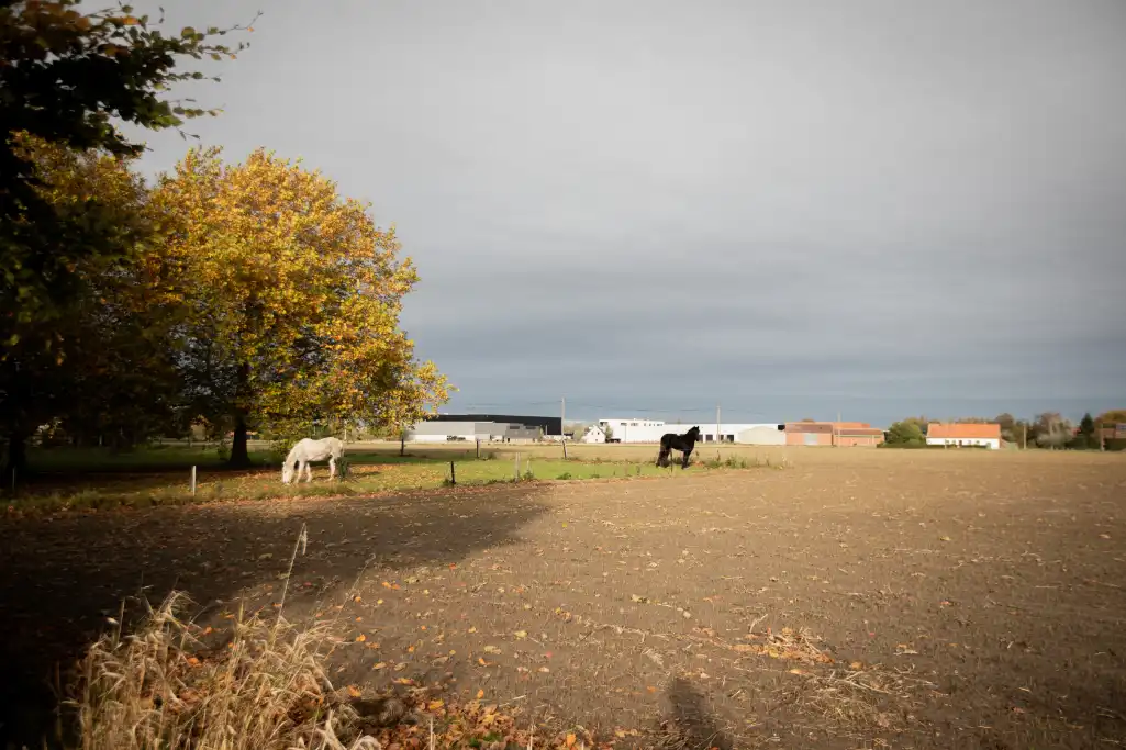 Uitzonderlijk mooi gelegen stuk bouwgrond voor alleenstaande bebouwing foto 4