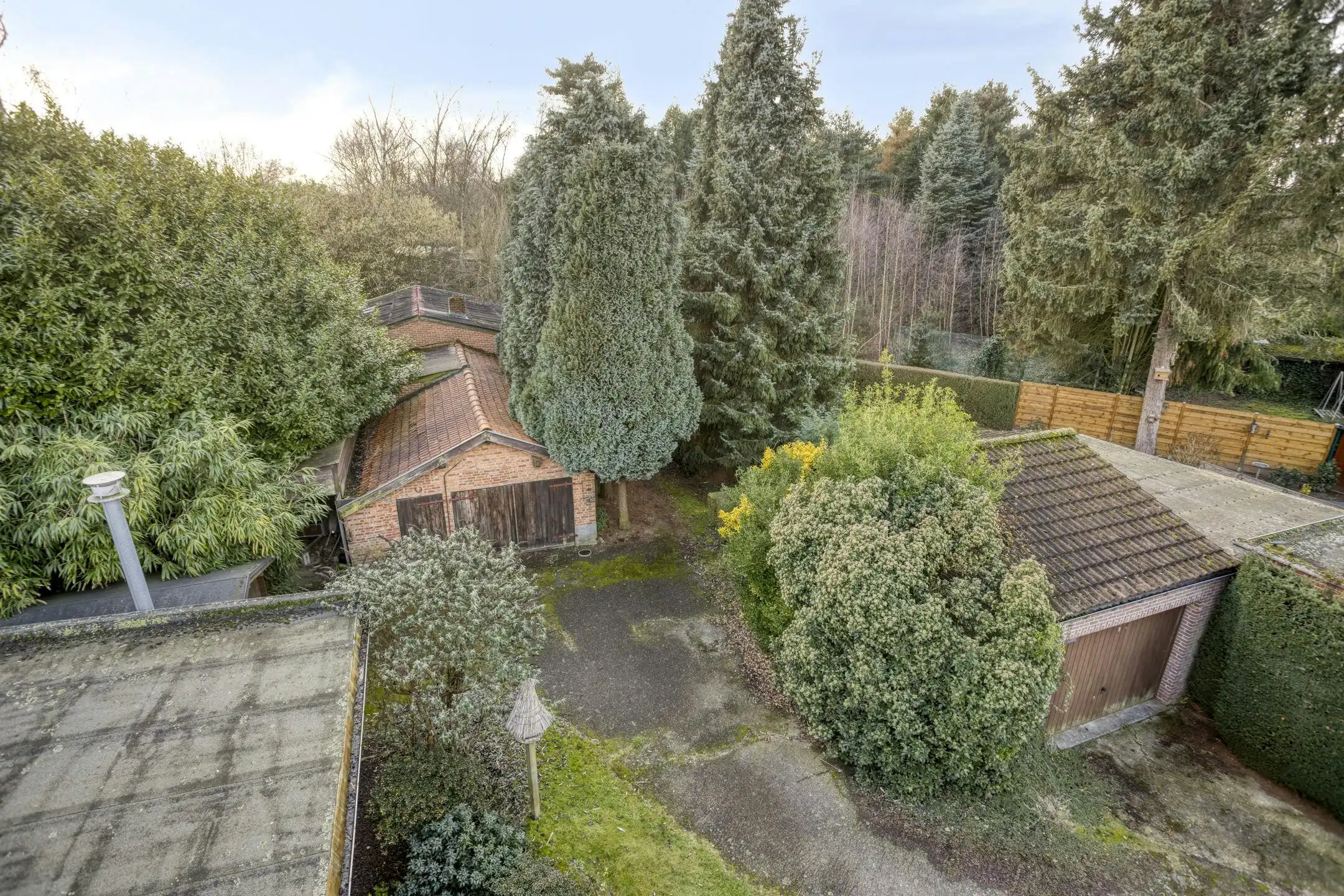 Huis met 5 slaapkamers en landbouwgrond van 3.150m² in Wommelgem! foto 31